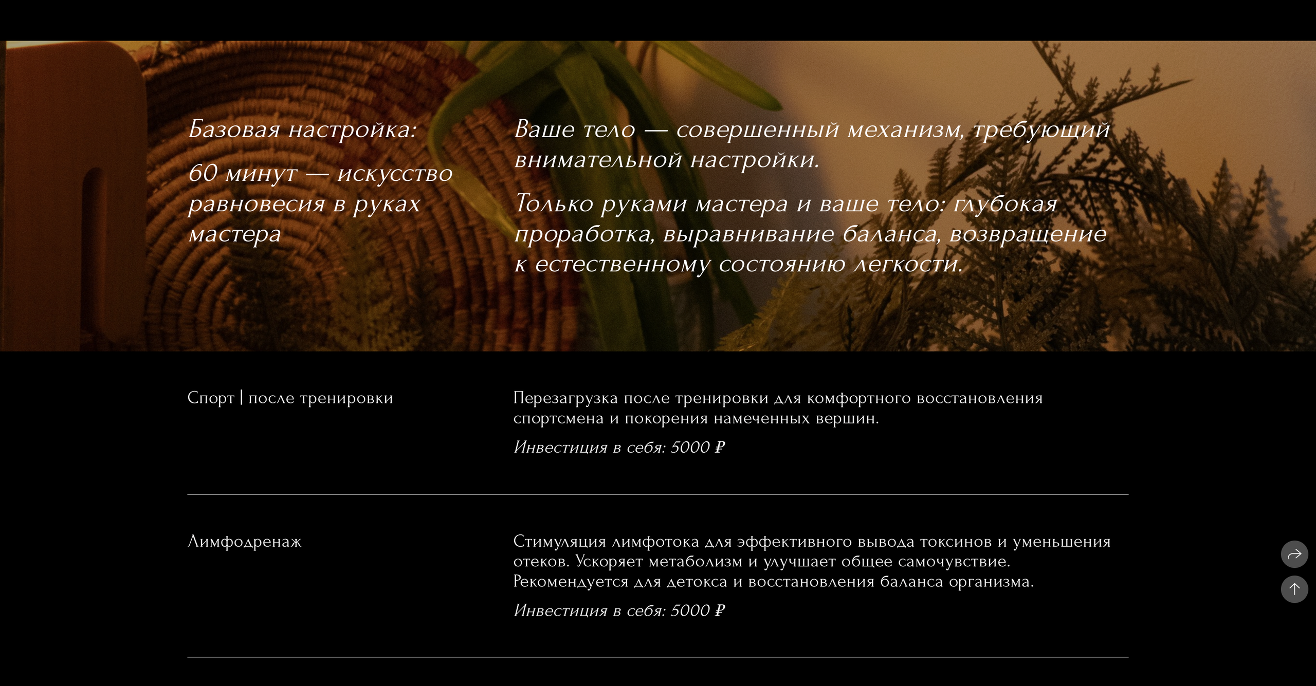 Бамбук кейс