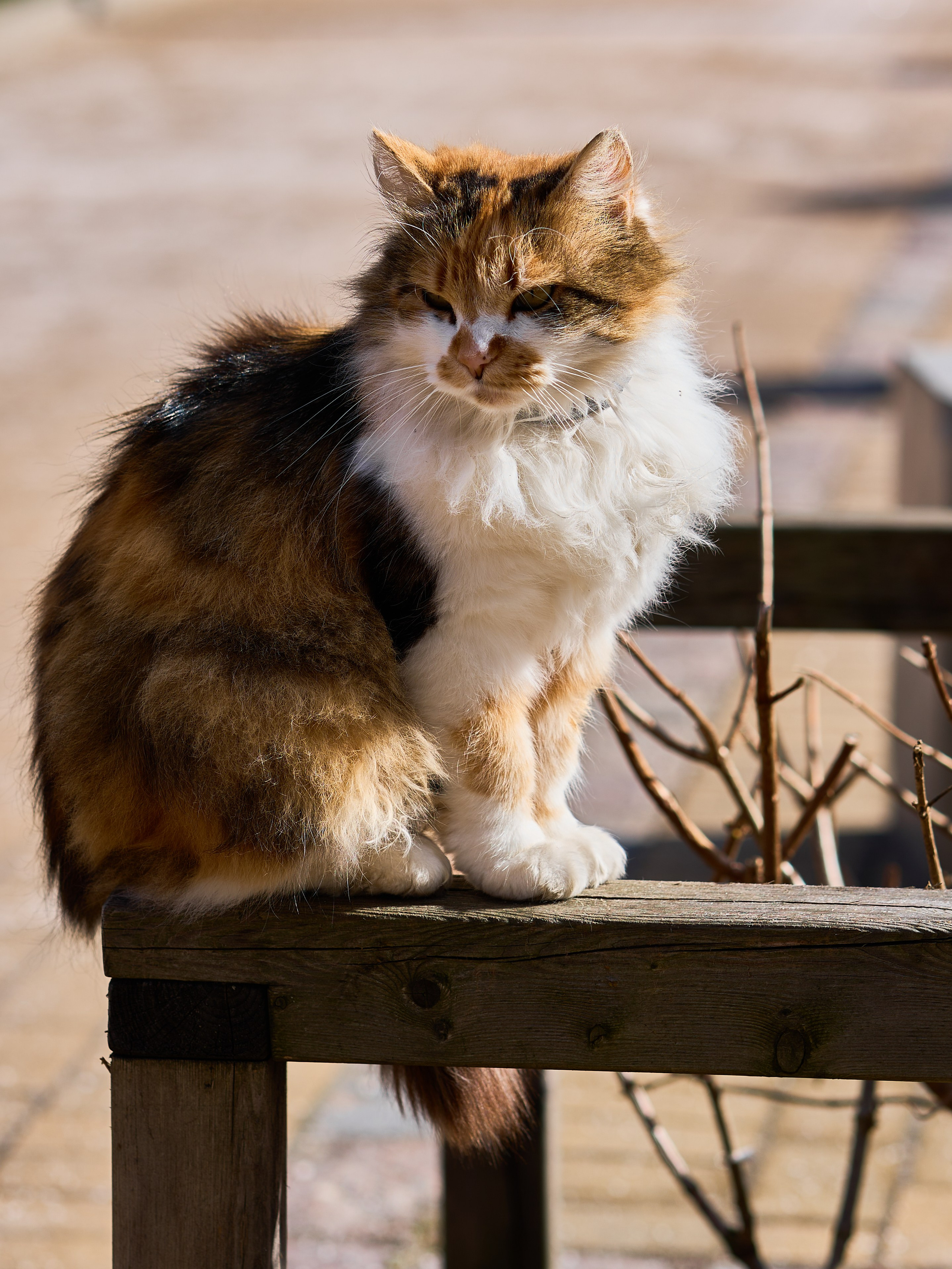 Центр города. Фотограф в Москве Анастасия Баева