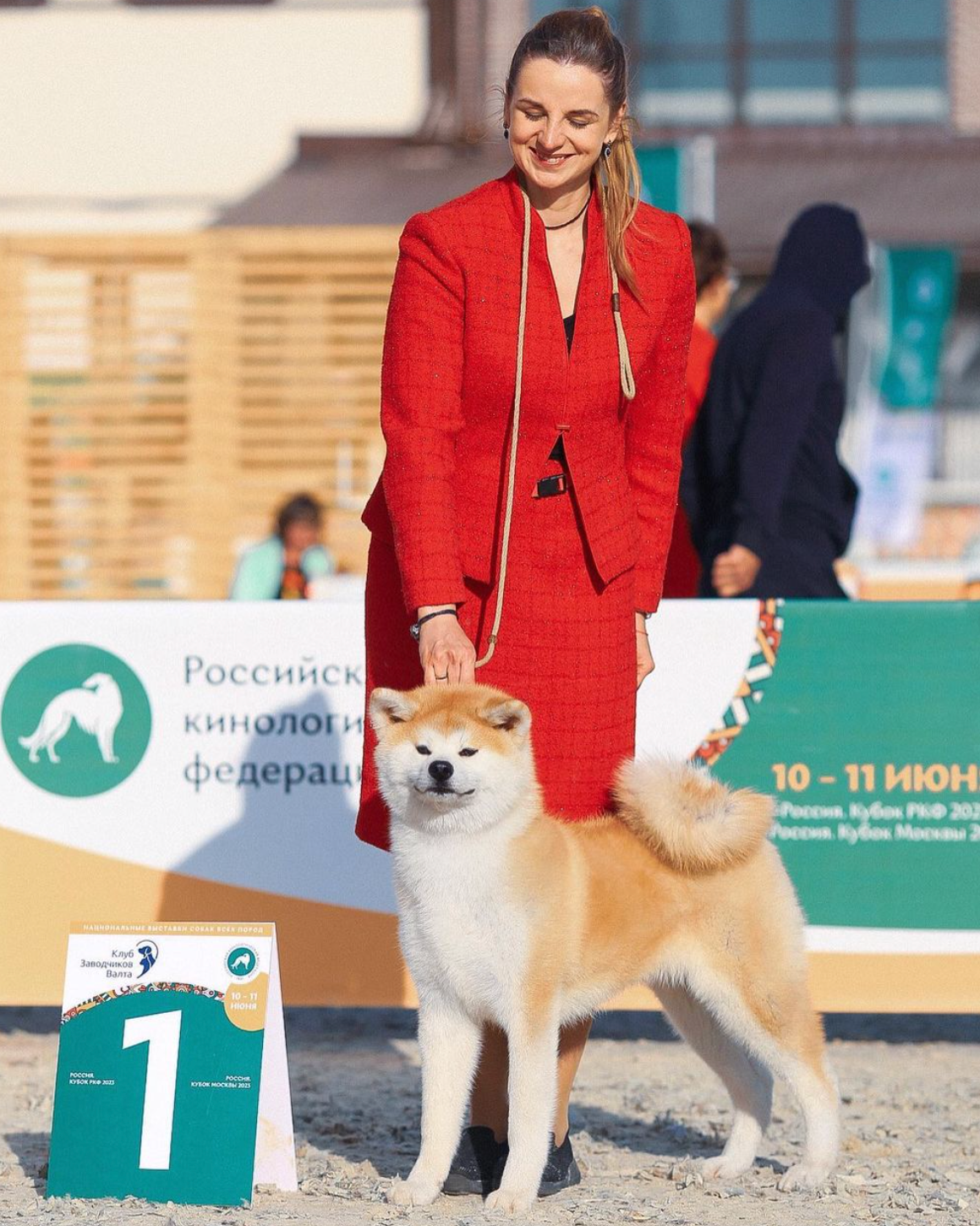 Female. Kennel Akita inu