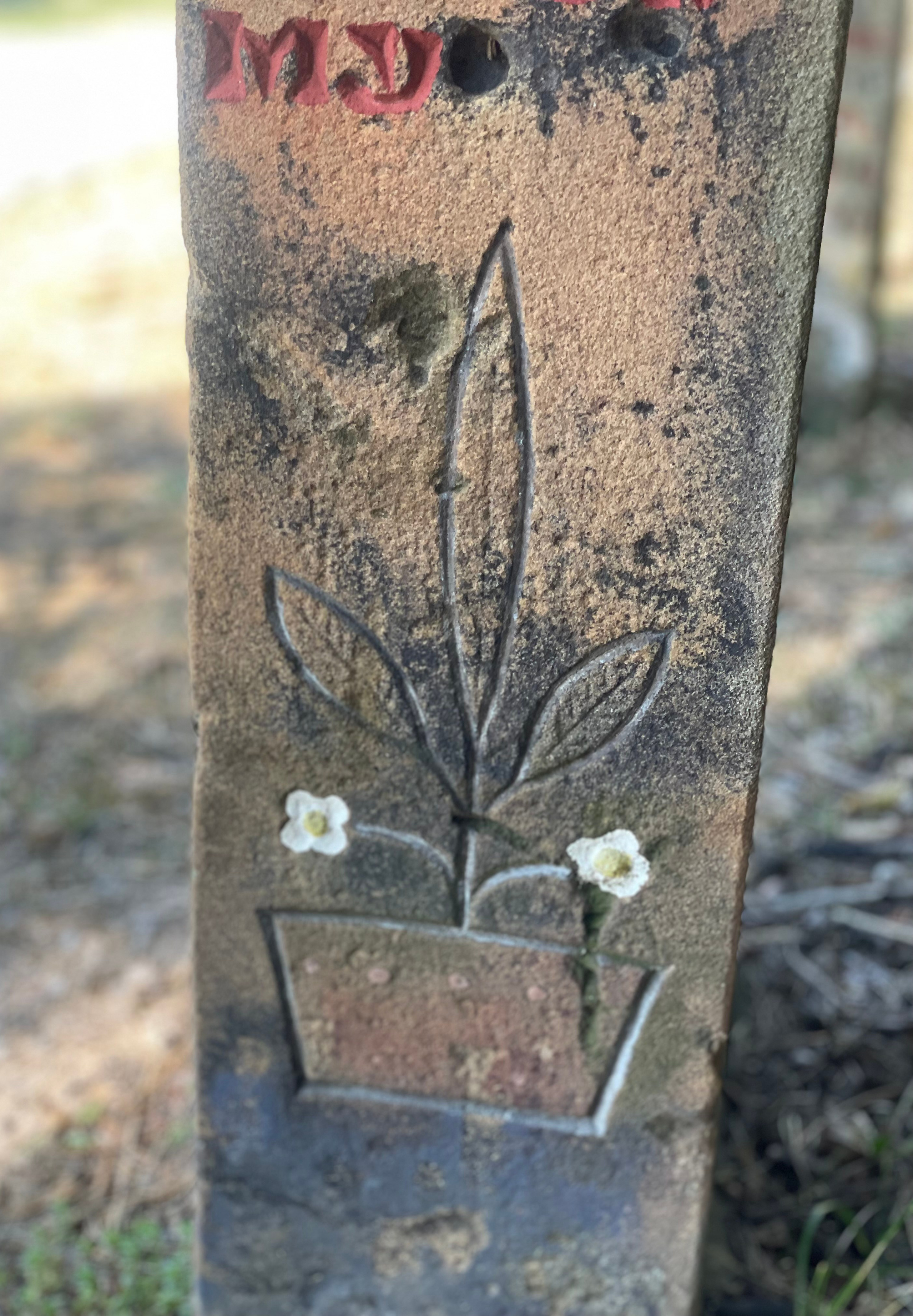 Наталия Бабинцева — ВЫДЕЛЕННАЯ ТЕРРИТОРИЯ: прогулки с N