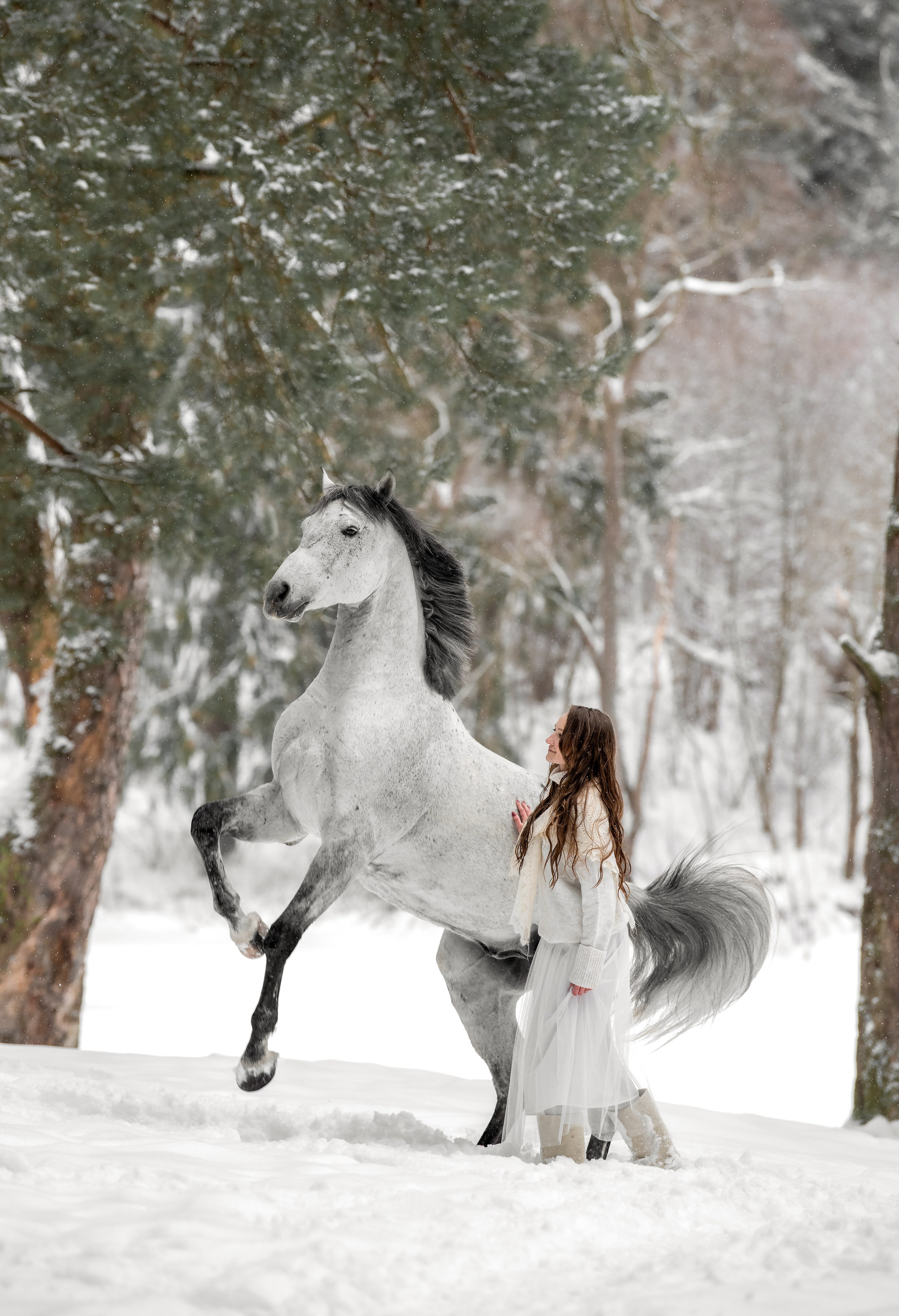 Каталог лошадей. Конный фотограф в Москве — Дарья Алексеева | Премиальные фотосессии с лошадьми