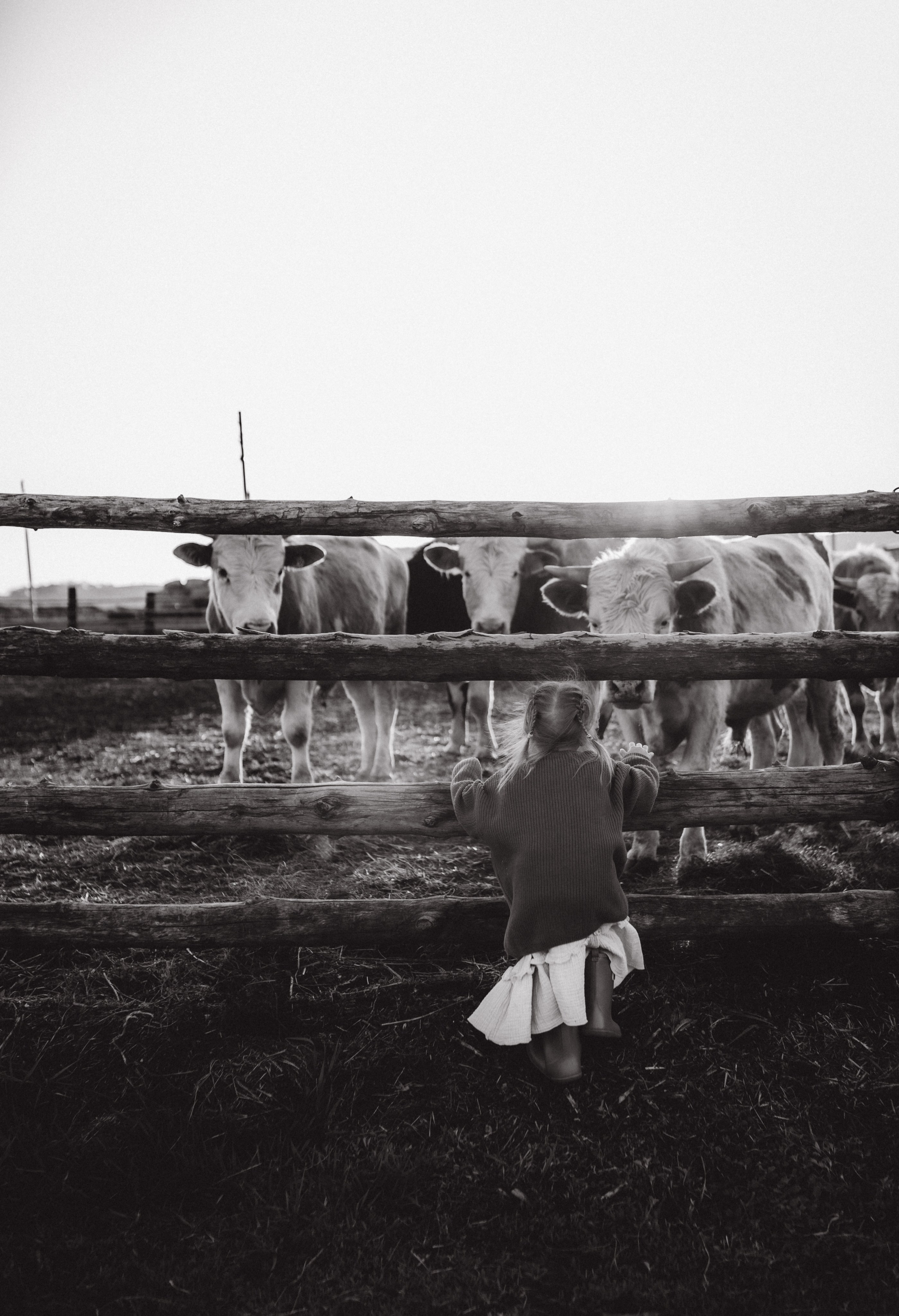 Пресеты. Виктория Белохвостикова