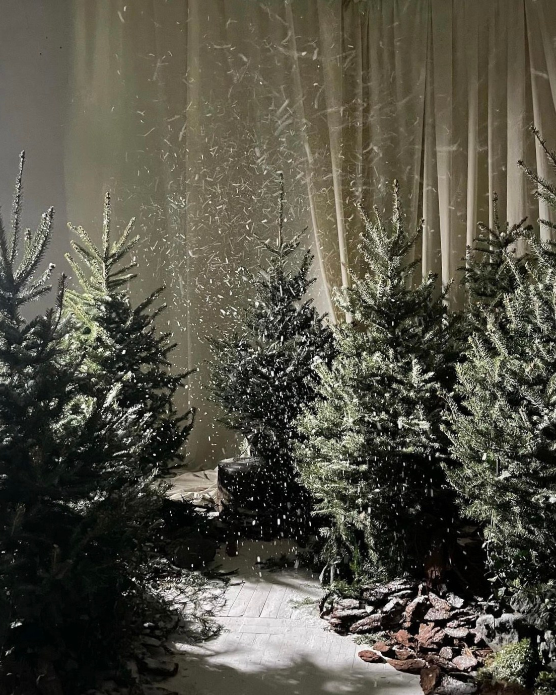 Новогодние фотодни 2023-2024. Свадебный и семейный фотограф в Ростове-на-Дону Марианна Хахладжева