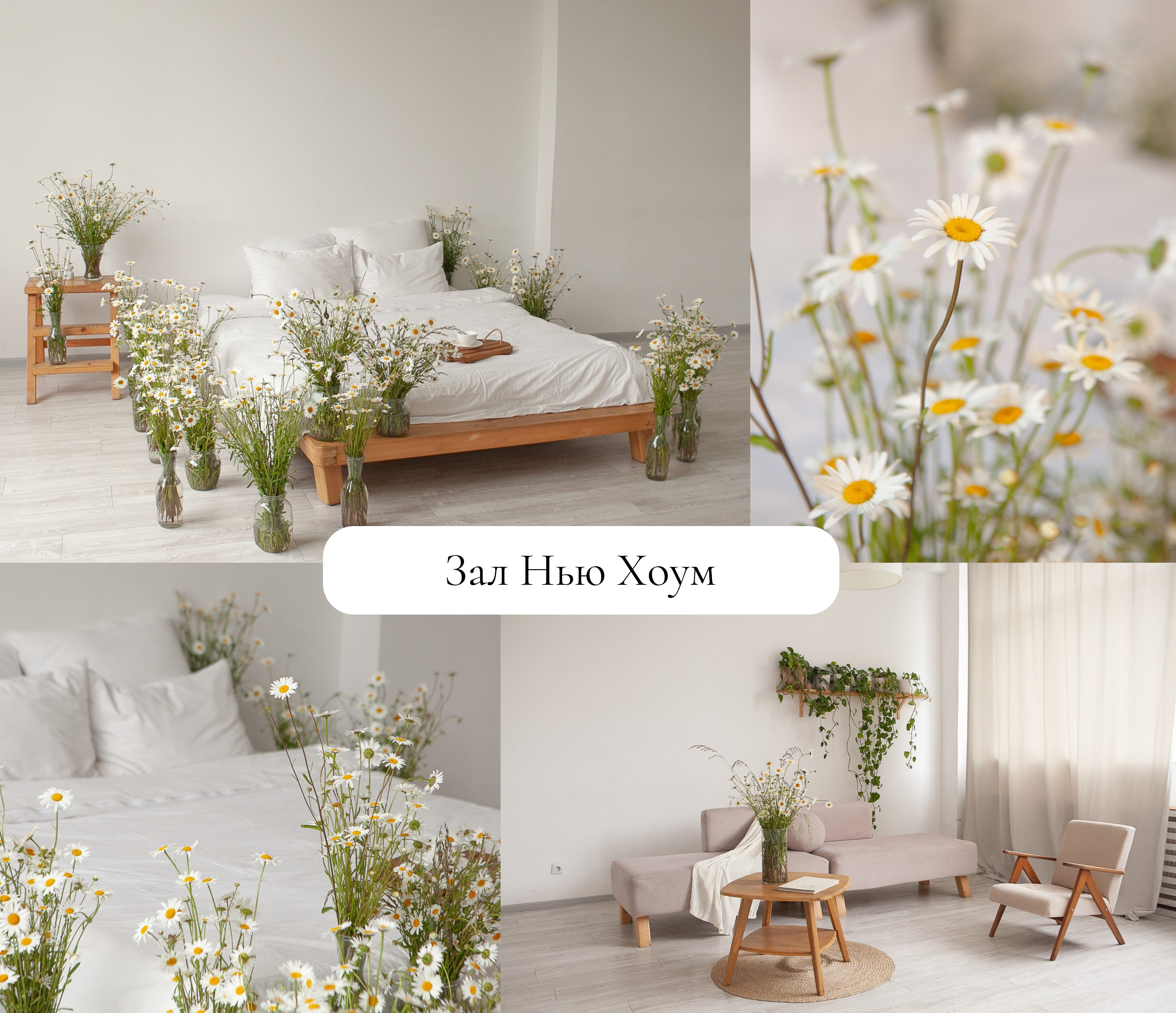 Рекомендации по образам на фотосессию с ромашками. Фотограф в Санкт-Петербурге, Анна Скворцова