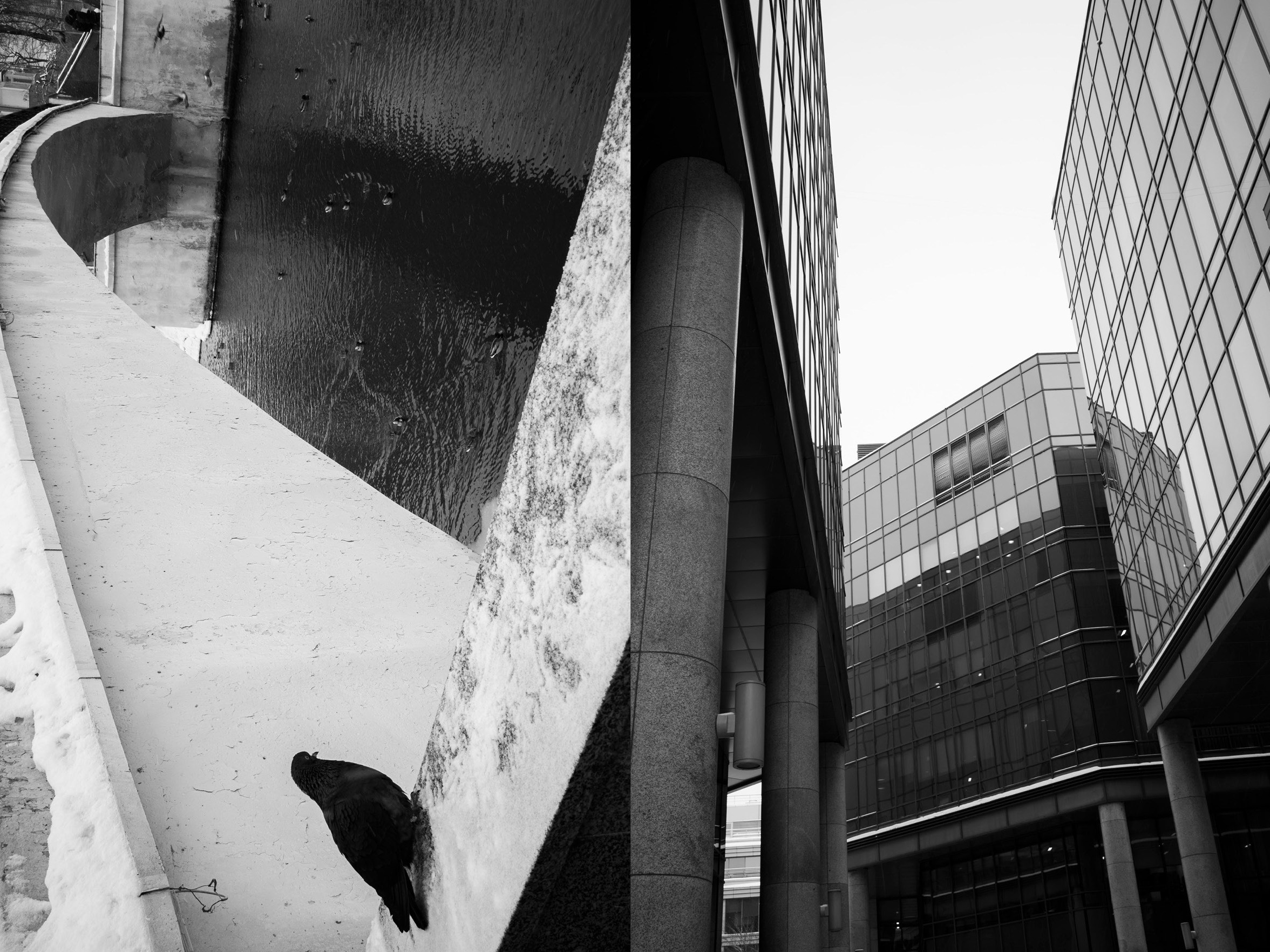 Егорова Ольга. ARTEXPOPHOTO