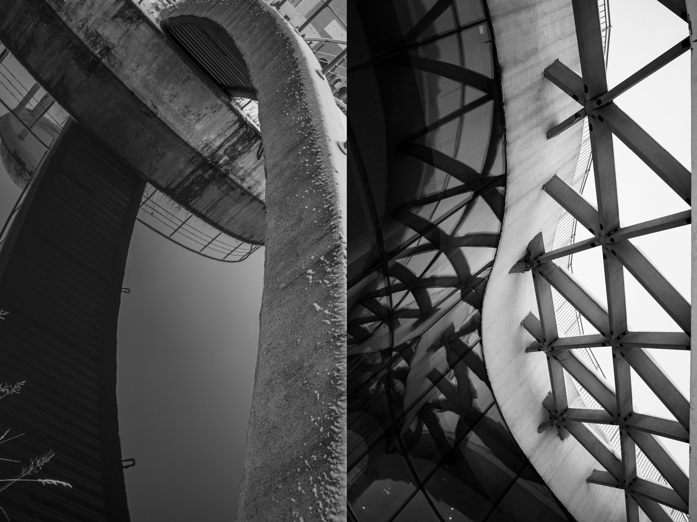 Егорова Ольга. ARTEXPOPHOTO