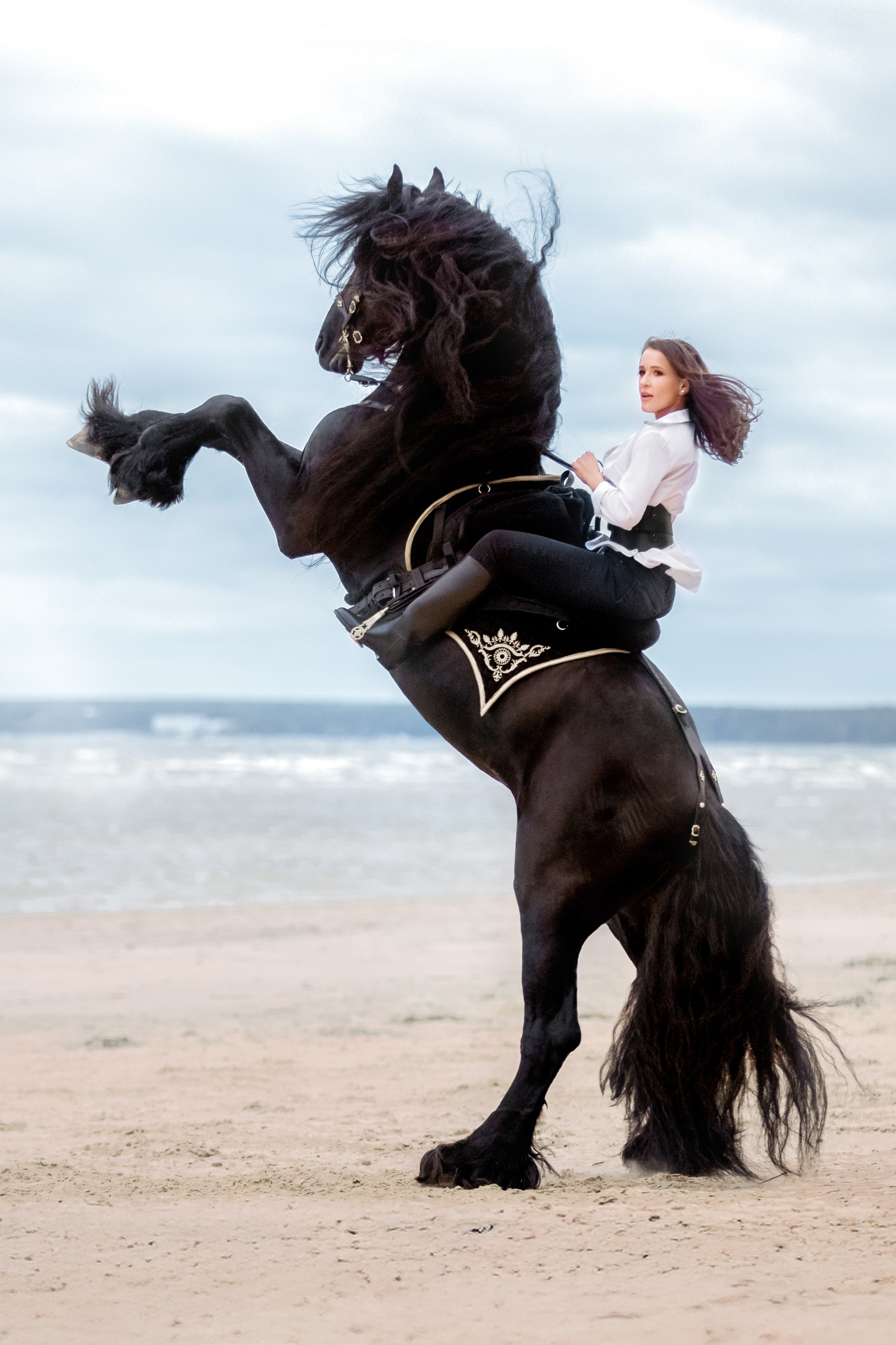 Фотосессия с лошадьми в СПб. Конный фотограф Яна Орлова. Услуги. Конный фотограф Яна Орлова. Фотосессии с лошадьми в Санкт-Петербурге