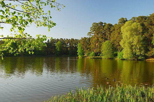 Свадебная фотосессия в Серебрянном бору