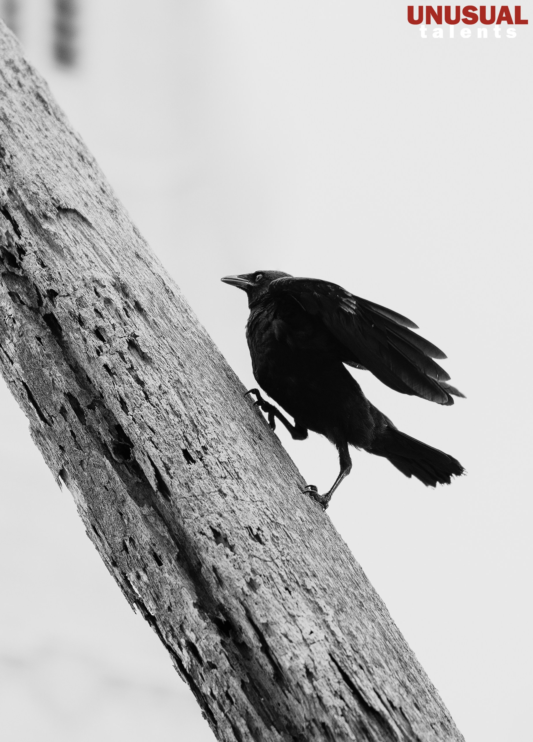 June 2025. UNUSUAL TALENT magazine