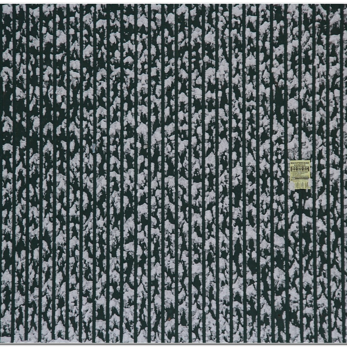 Тащилин Сергей Анатольевич. Фотография. Творчество.