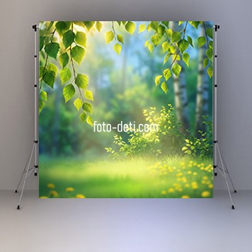 Фотофоны. Фотостудия «Ай-Би-эН»