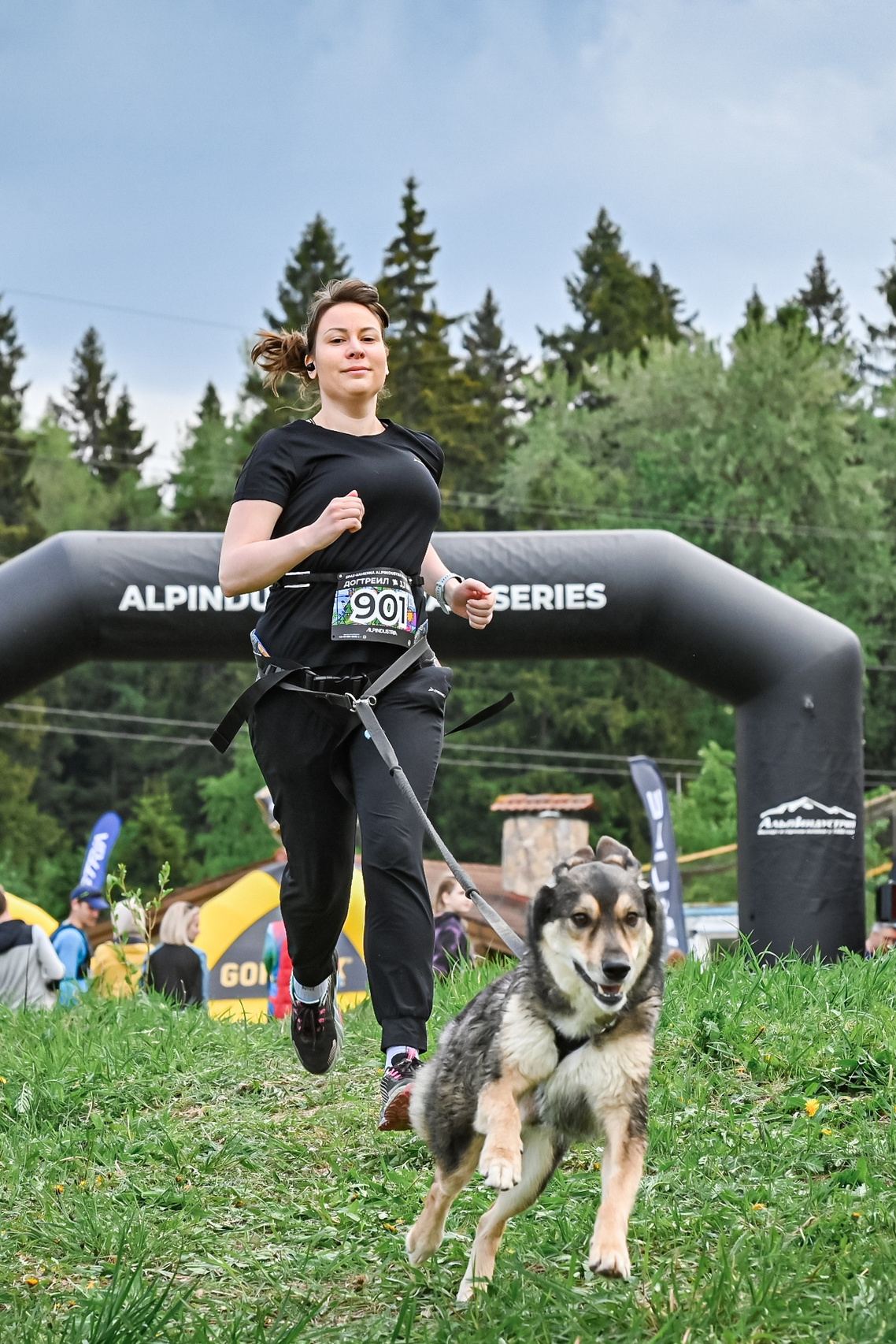 Контакты. Фотограф-анималист Татьяна Степанова