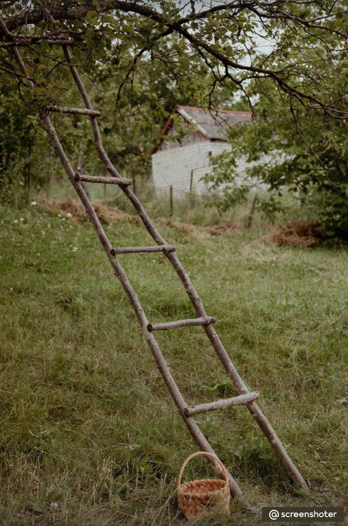 Фотостудии Ставрополя. Фотограф, видеограф Пятигорск, Ставрополь, Ессентуки, Petlyakovs_photo