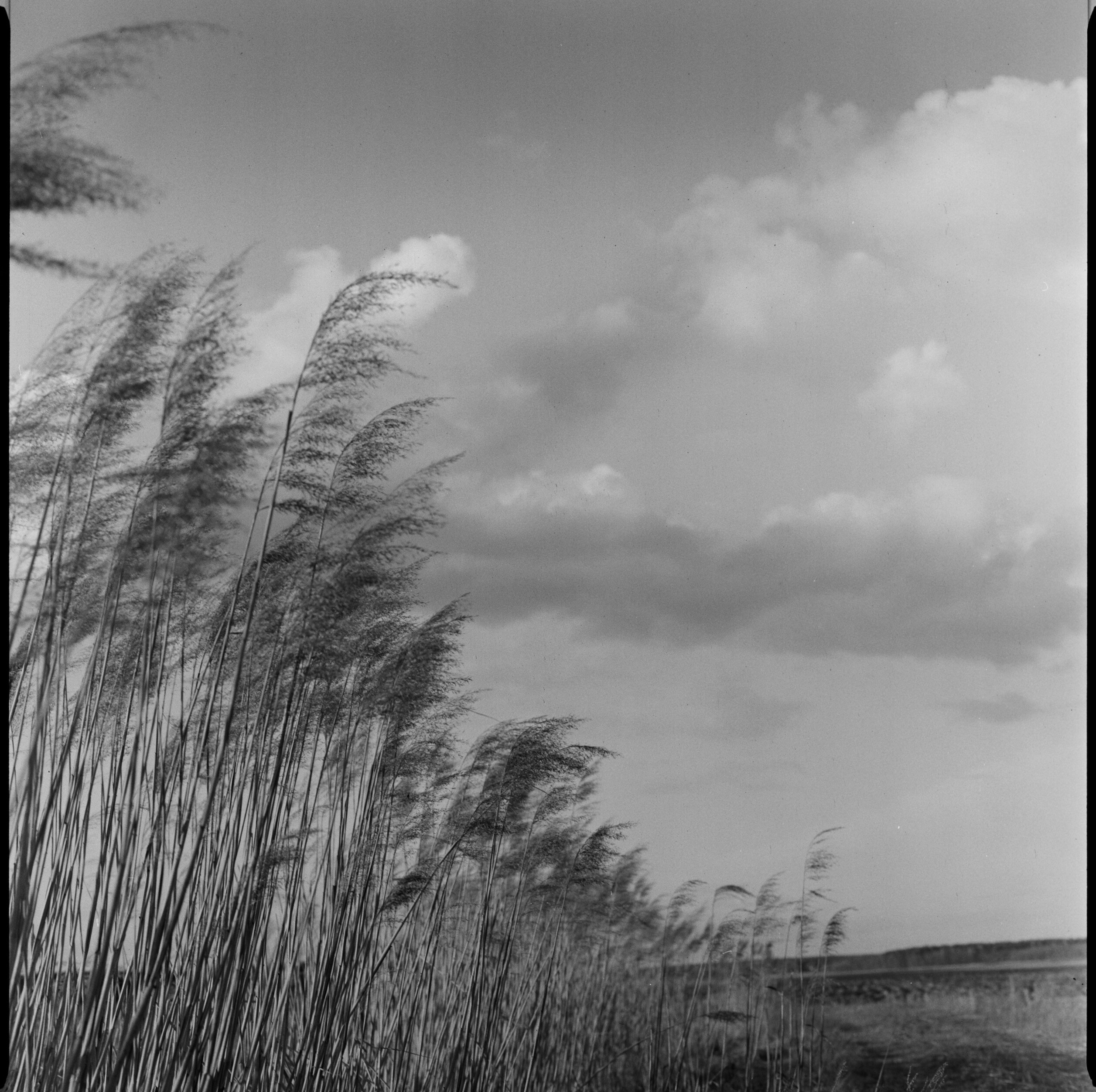 Услуги. Семейный и портретный фотограф в Минске Константин Менжинский
