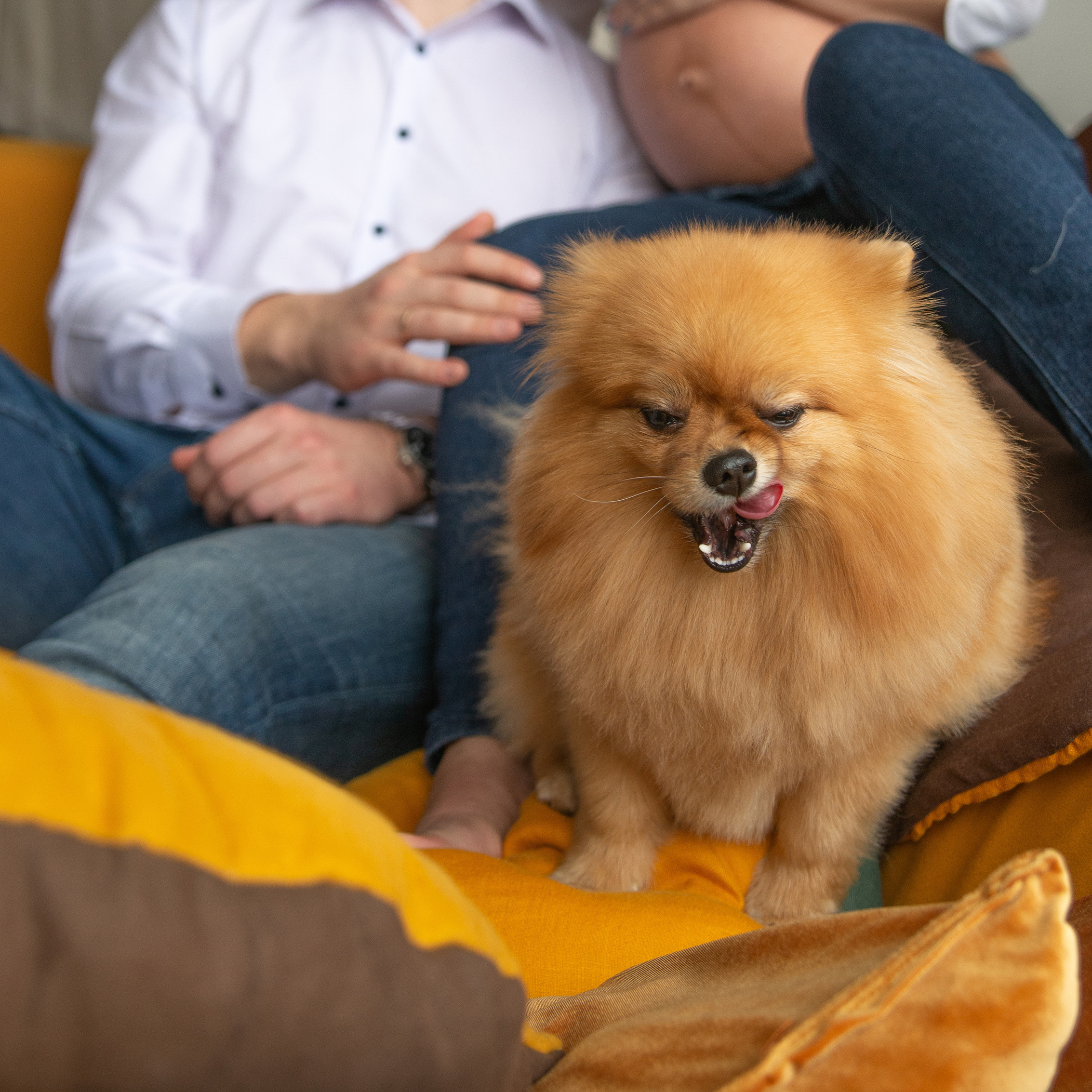 Новогодняя фотосессия у Вас дома. Свадебный и семейный фотограф Ольга Астрейко