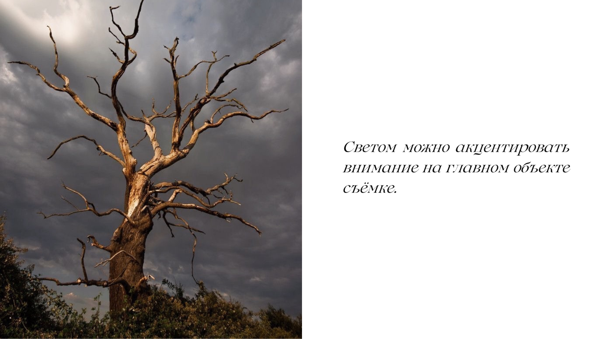 Ловцы света. Пашунеску Ксения: Фотограф | Фотосессия в Анапе