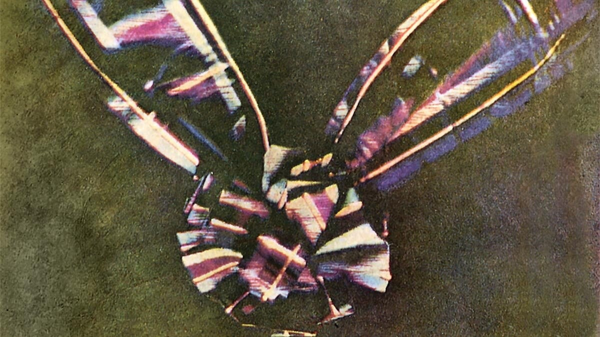 Понятие и виды фотографии. Фото Радости. Свадебный и семейный фотограф в Москве Юлия Самойлова