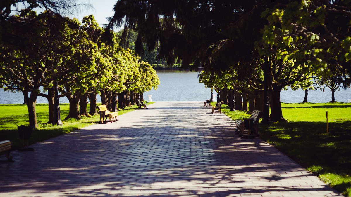 Контакты. Свадебный фотограф в Белгороде Владимир Золотарев