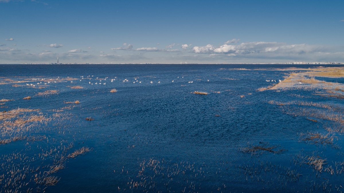 Пока все дома, лебеди уже на стоянке. 42clicks|||Студия видео и фотосъёмки