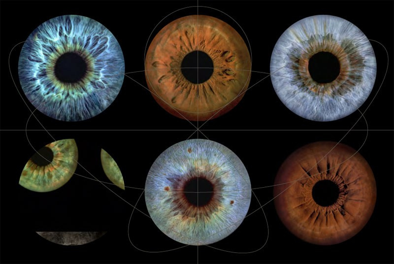 Статья о Френсисе Джакобетти. Профессиональная фотосъемка. Ростов-на-Дону