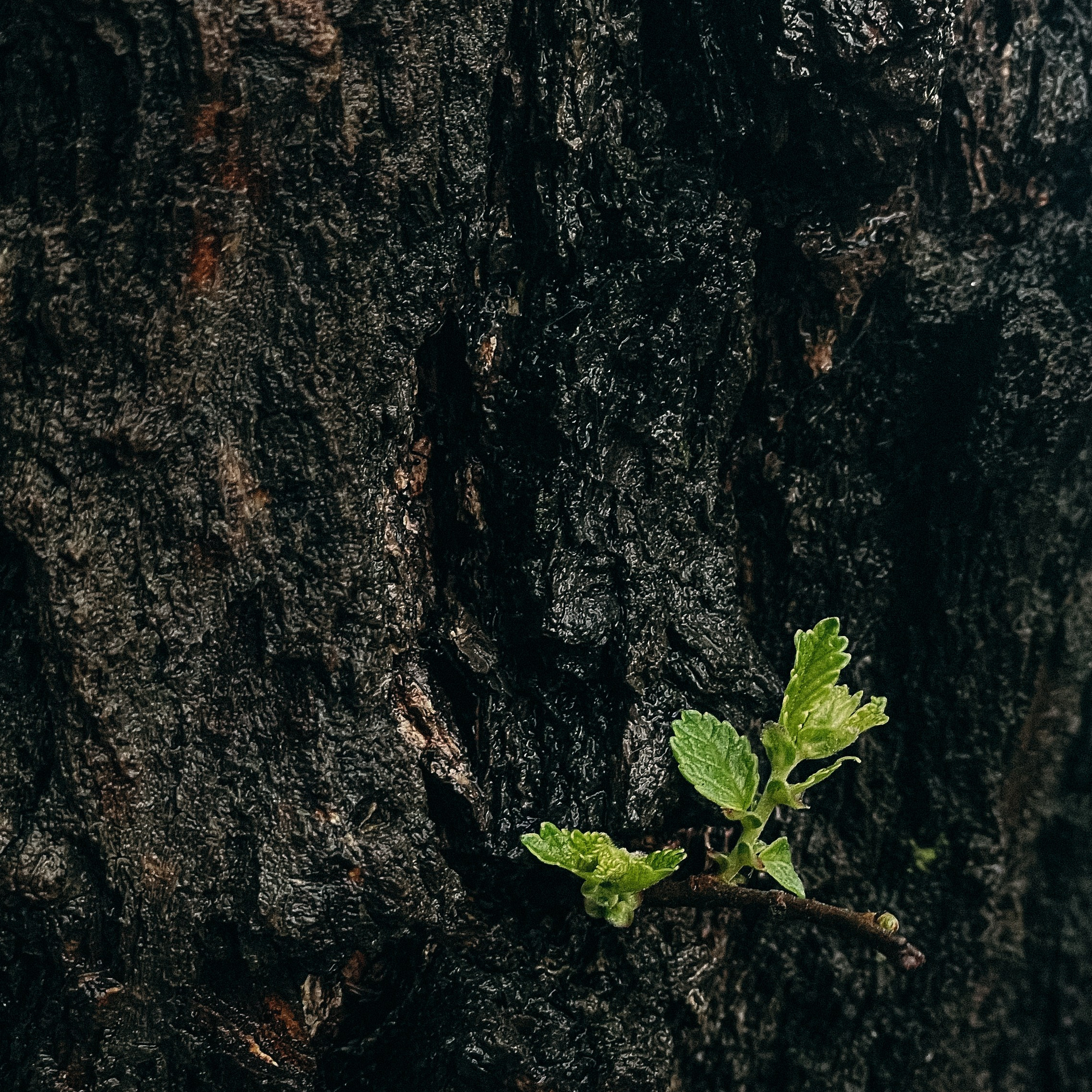 Интенсив по мобильной фотографии (1). Свадебный, семейный и портретный фотограф в Алматы, Костанай