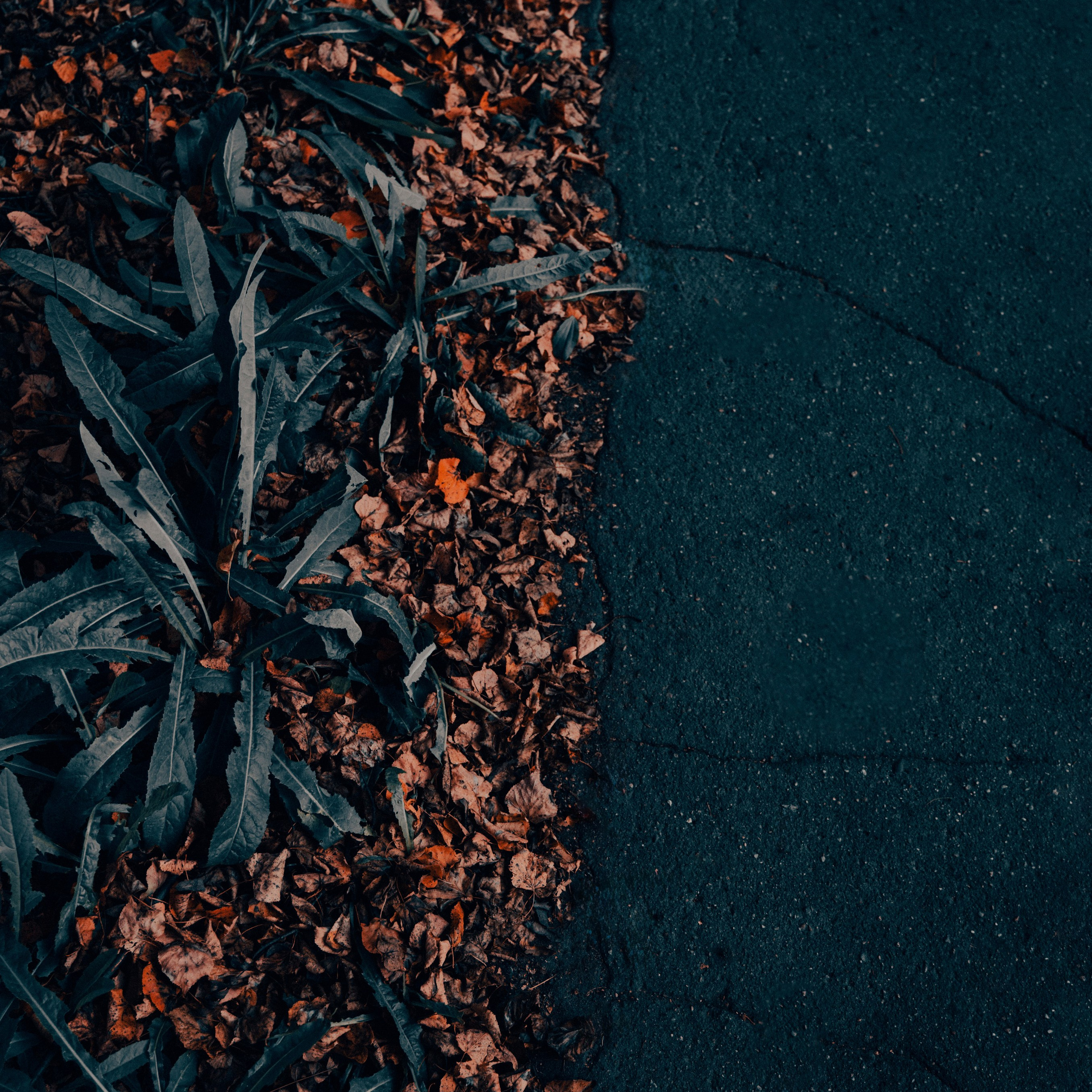 Контакты. Diddesign — Фото видеосъемка, разработка уникальных логотипов, веб-дизайн, брендинг