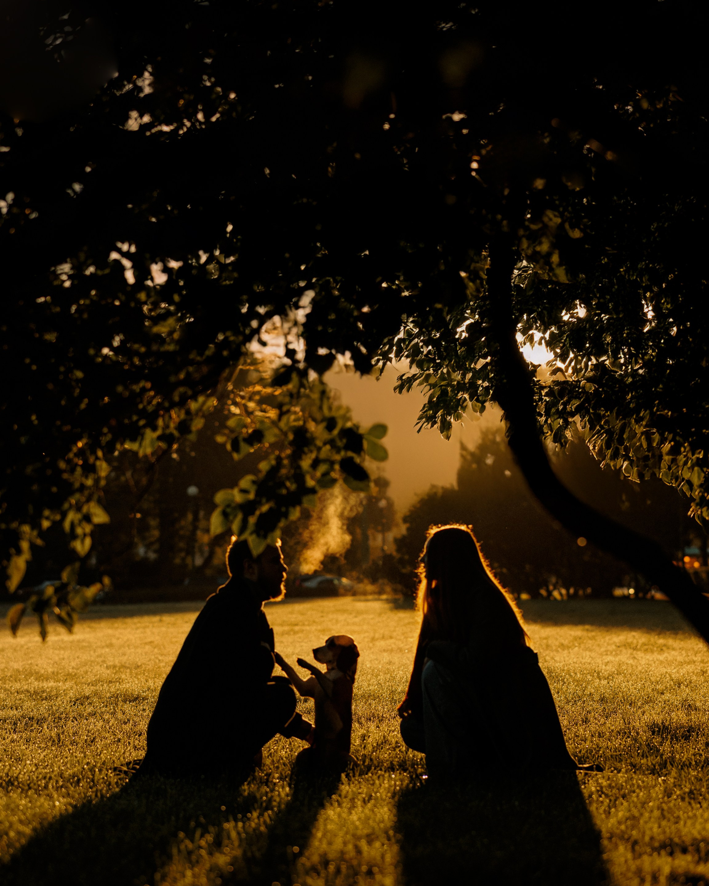 Фотограф в Санкт-Петербурге Алёна Губинская
