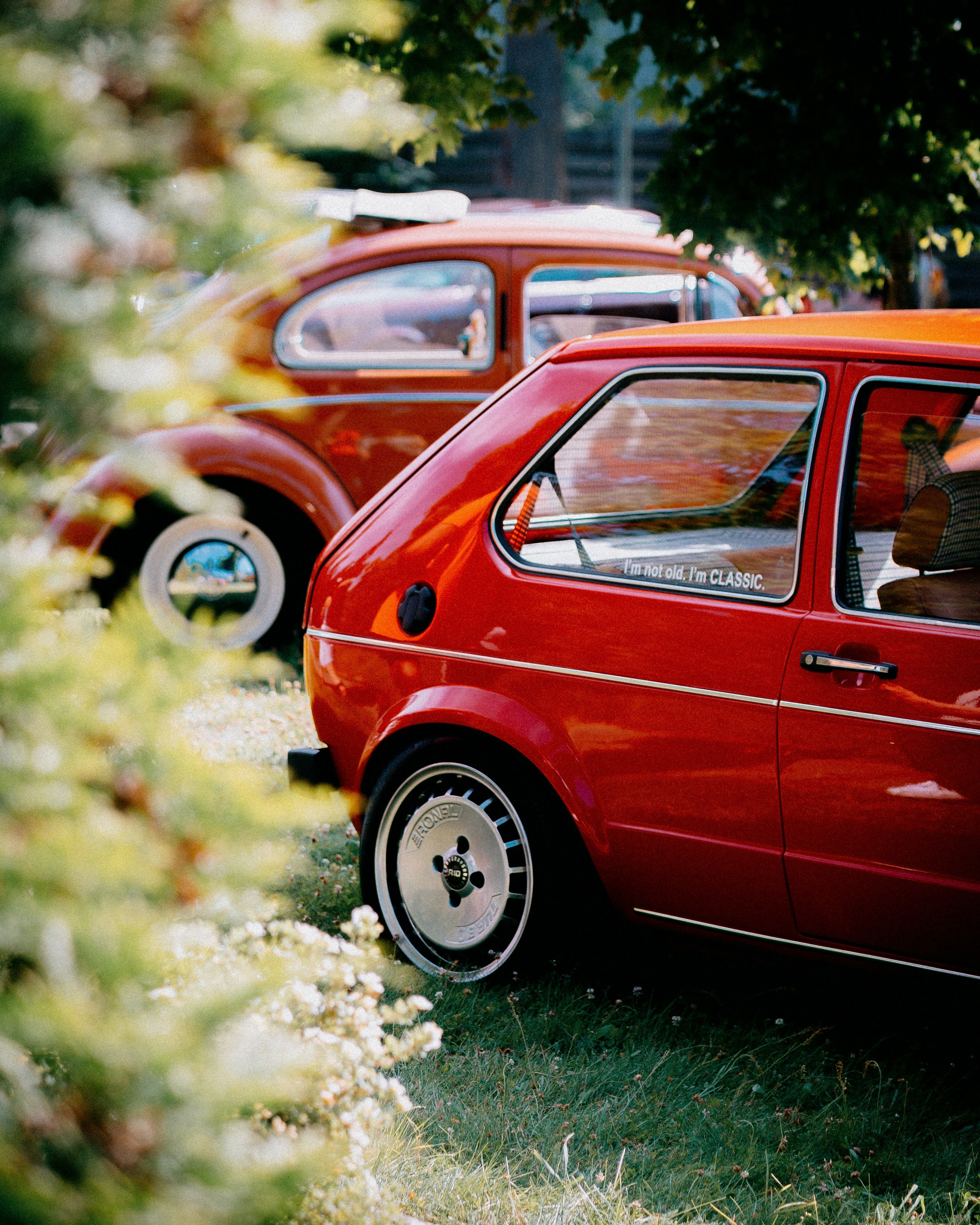 Услуги. Фотограф Александр Чернышёв