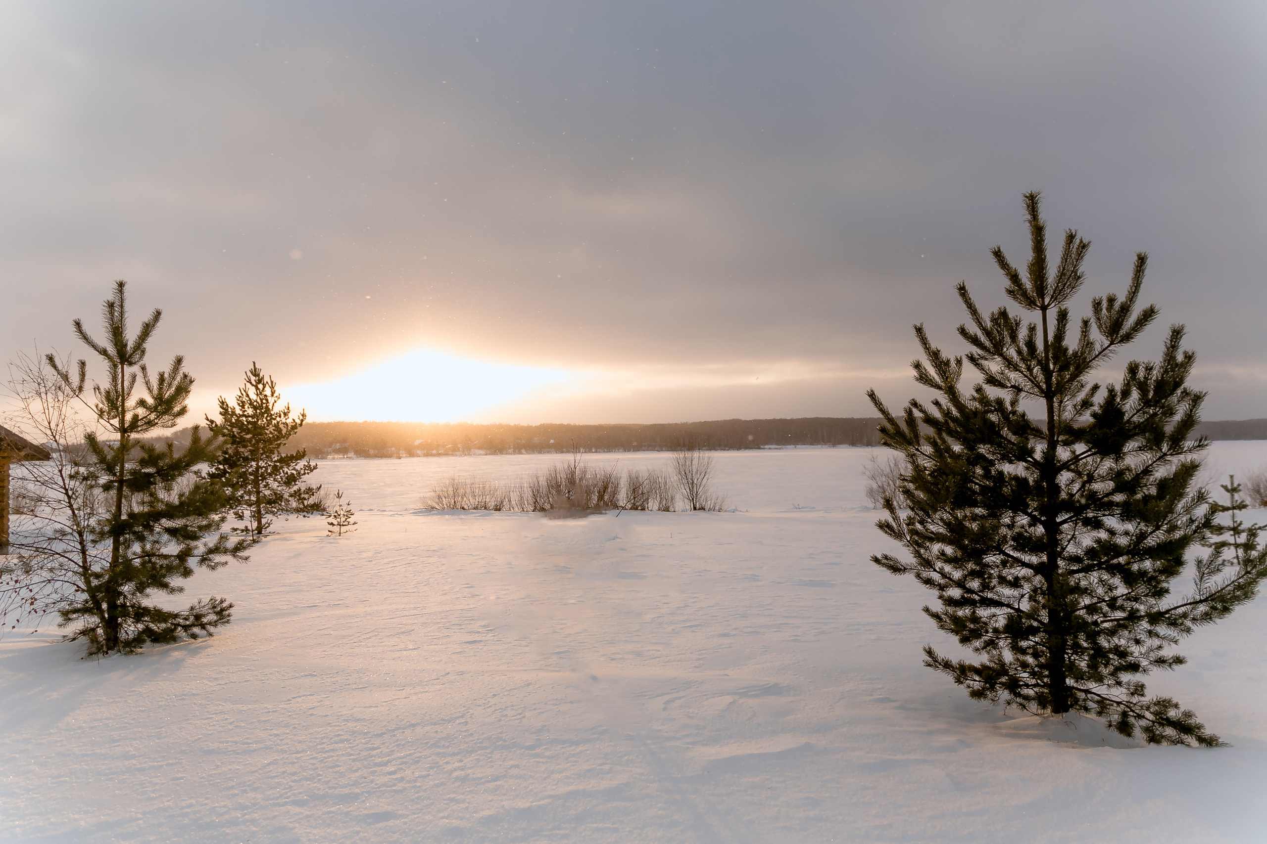 Новогодня сказка. База отдыха Осетрово. Школьный фотограф в Туле Светлана Привезенцева