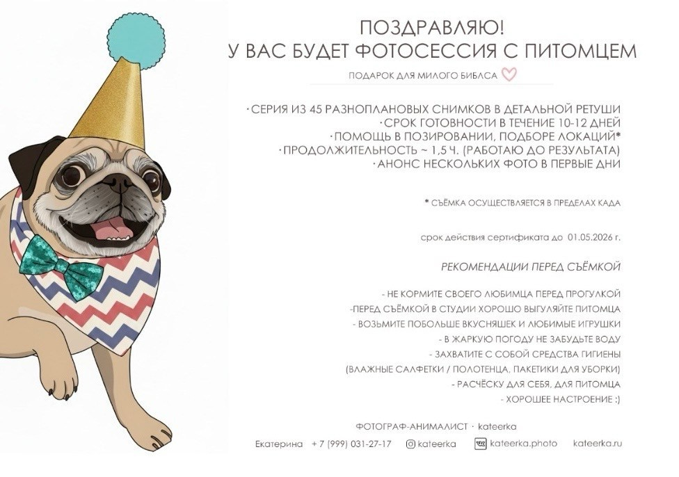 Съёмка в подарок. Фотограф-анималист • love-story • Санкт-Петербург