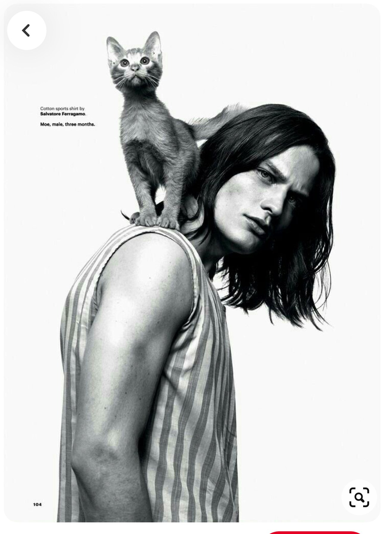 LA PULCHI СЪЕМКА С ЖИВОТНЫМИ КОНСУЛЬТАЦИЯ ПО ПОДГОТОВКЕ