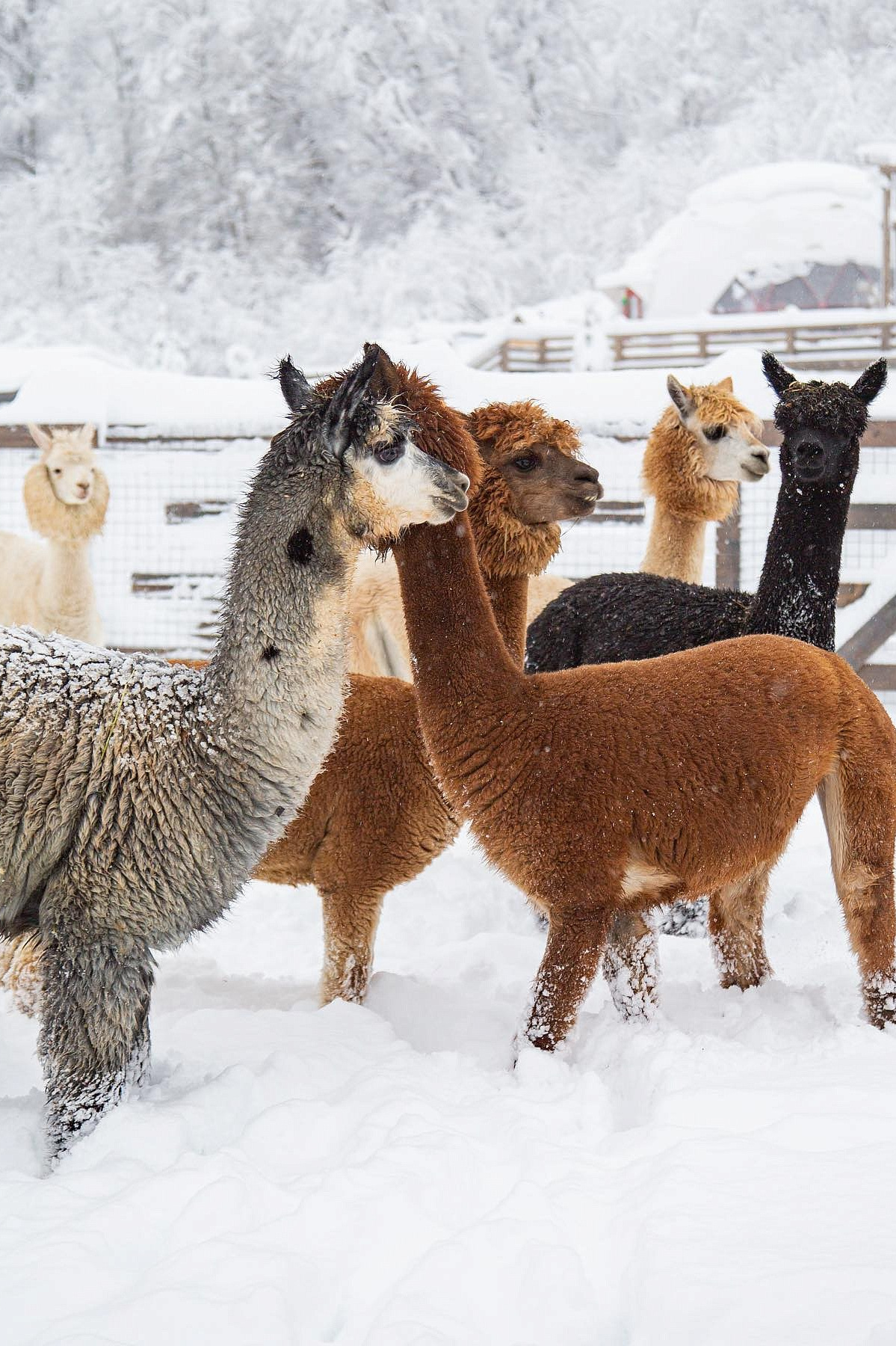 Топ 5 небанальных локаций для фотосессий в Сочи. Фотограф Сочи Кисматова Анастасия