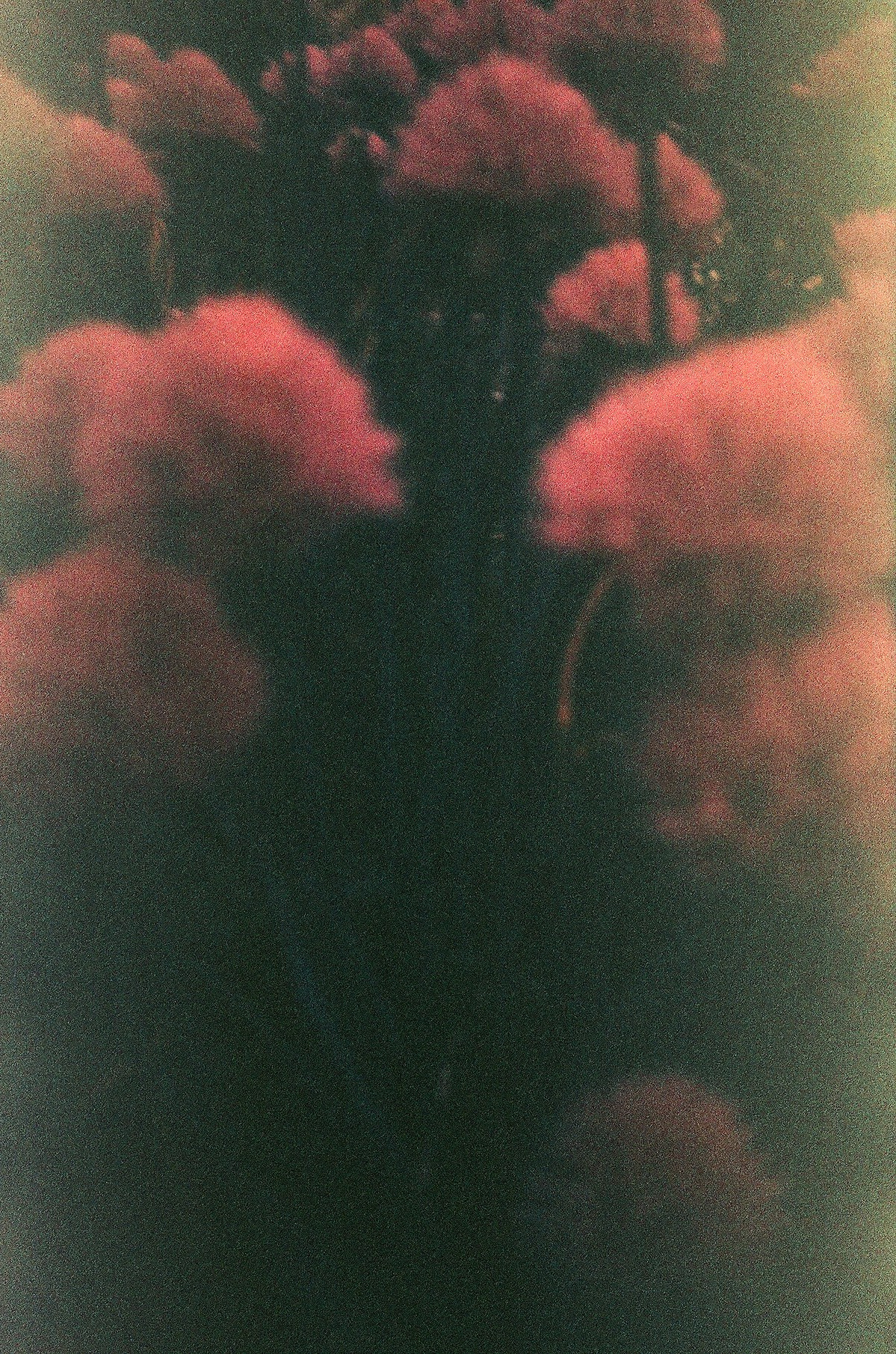 Тимофеева Юлия. ARTEXPOPHOTO