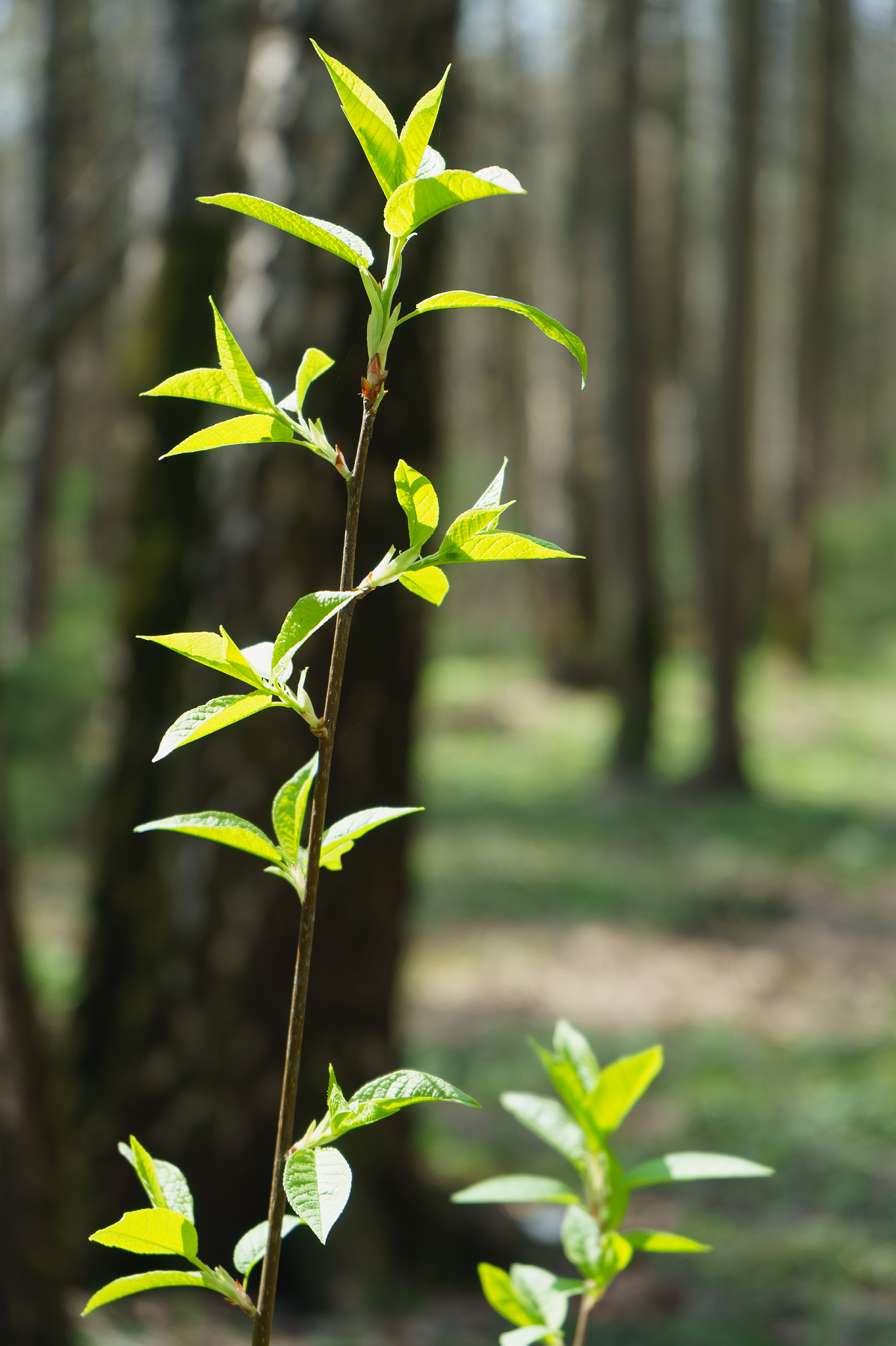 Мои фотоработы на выставке проекта ФОТОСЕЗОНЫ-2024. Фотохудожник в Москве Виктория Лаврова Искусство авторской фотографии для Вас