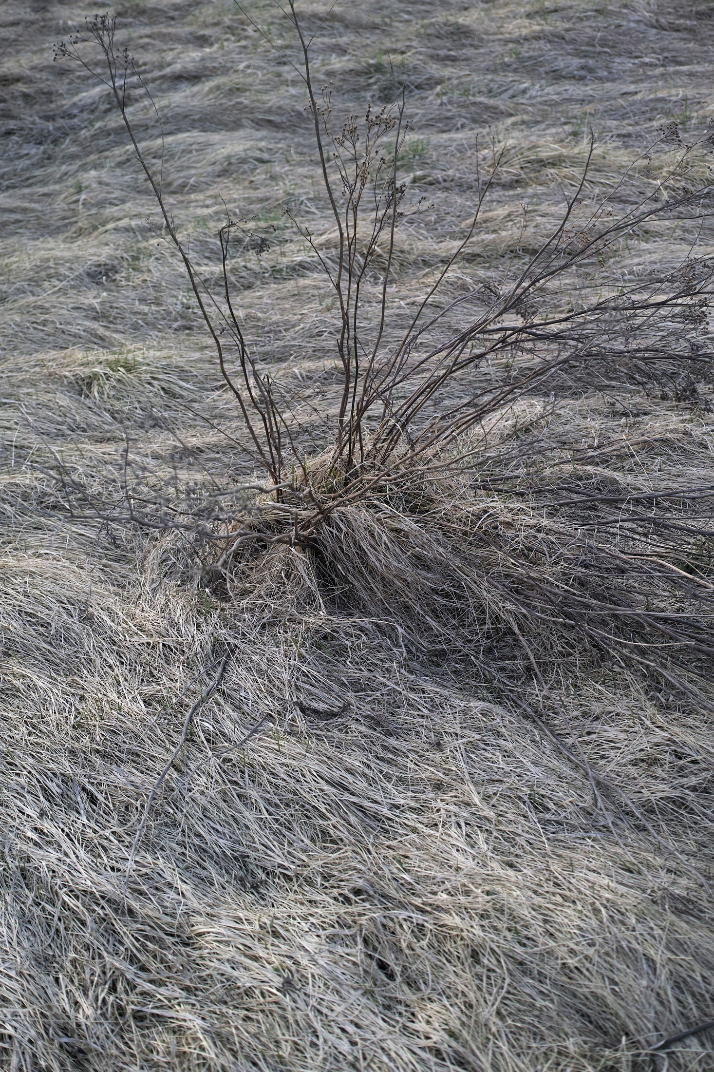 Художник. Фотограф