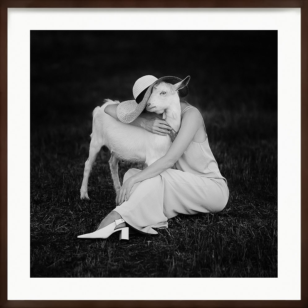 Купить картину для интерьера