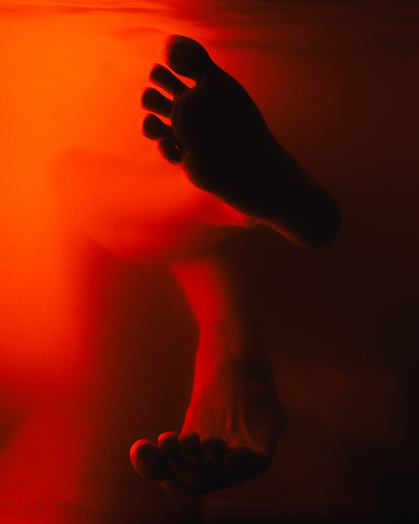 Аквариум. Фотограф из Москвы — DASHA NOVA | Авторская фотография в разных жанрах