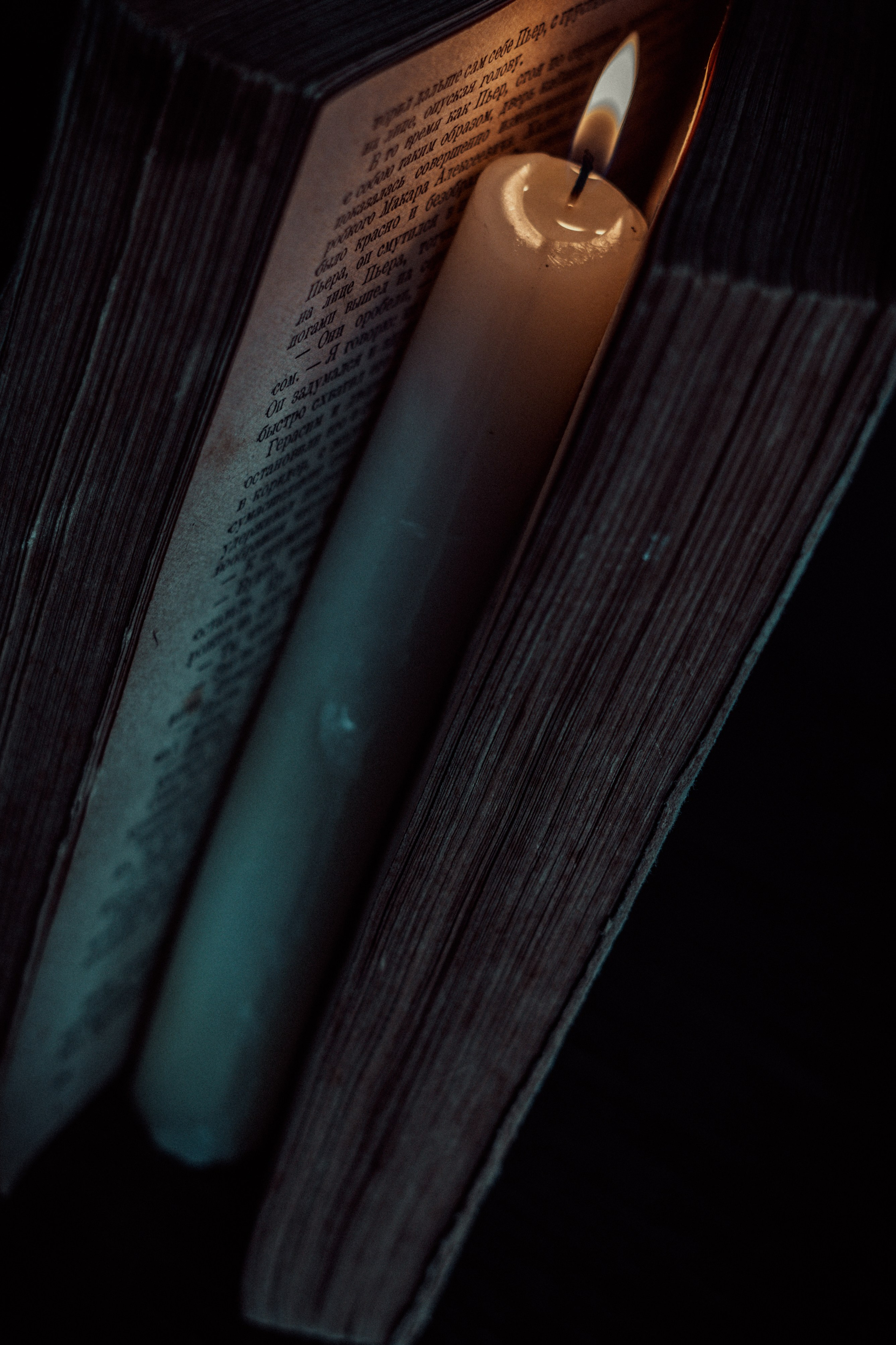 365 Фоточеллендж | 365 Photochallenge. Семейный и детский фотограф Гончарова Елена | Волжский, Волгоград