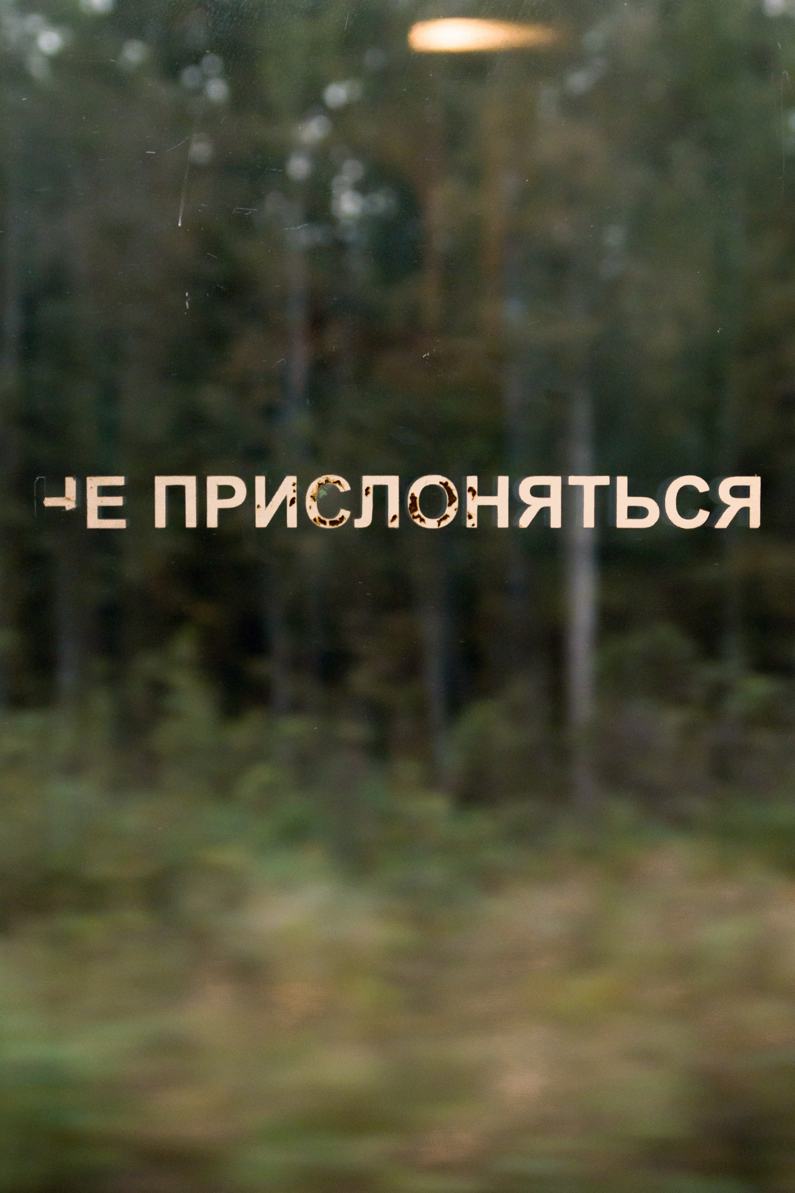 Портфолио и цены. Катя Цвет