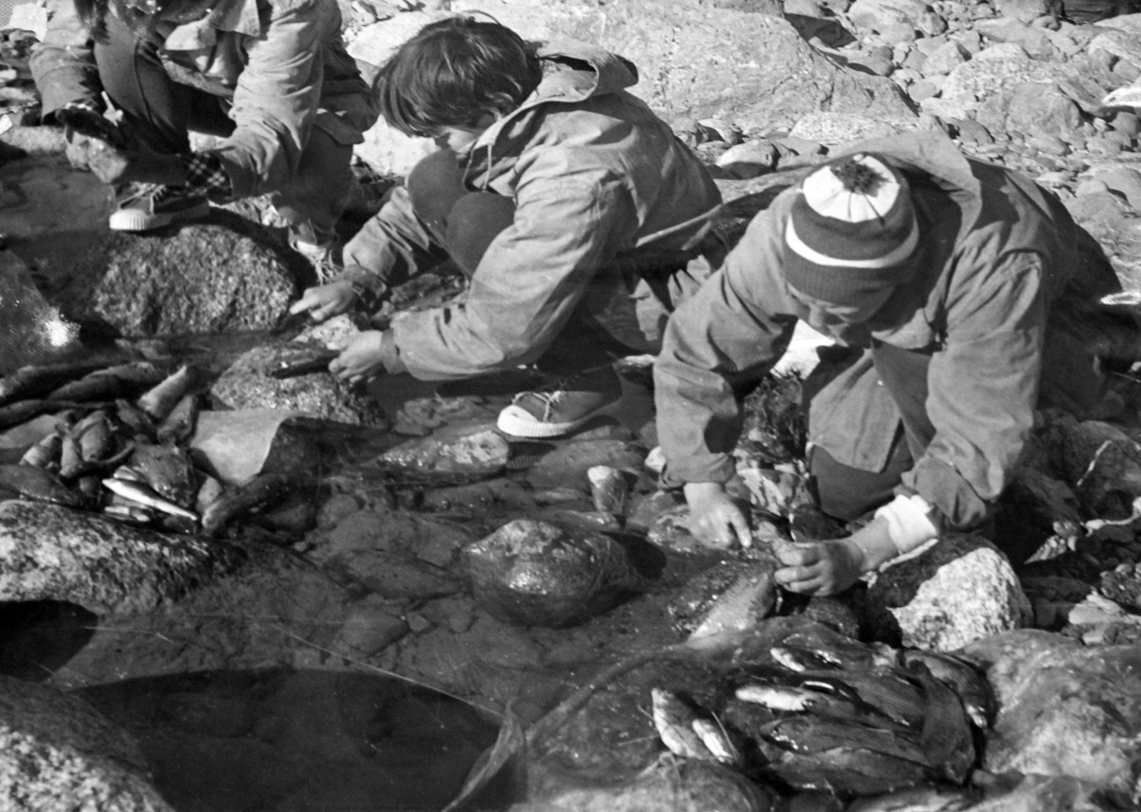 Первая экспедиция туристов-водников Алтая (1970). Фотограф Эдуард Алмадаков