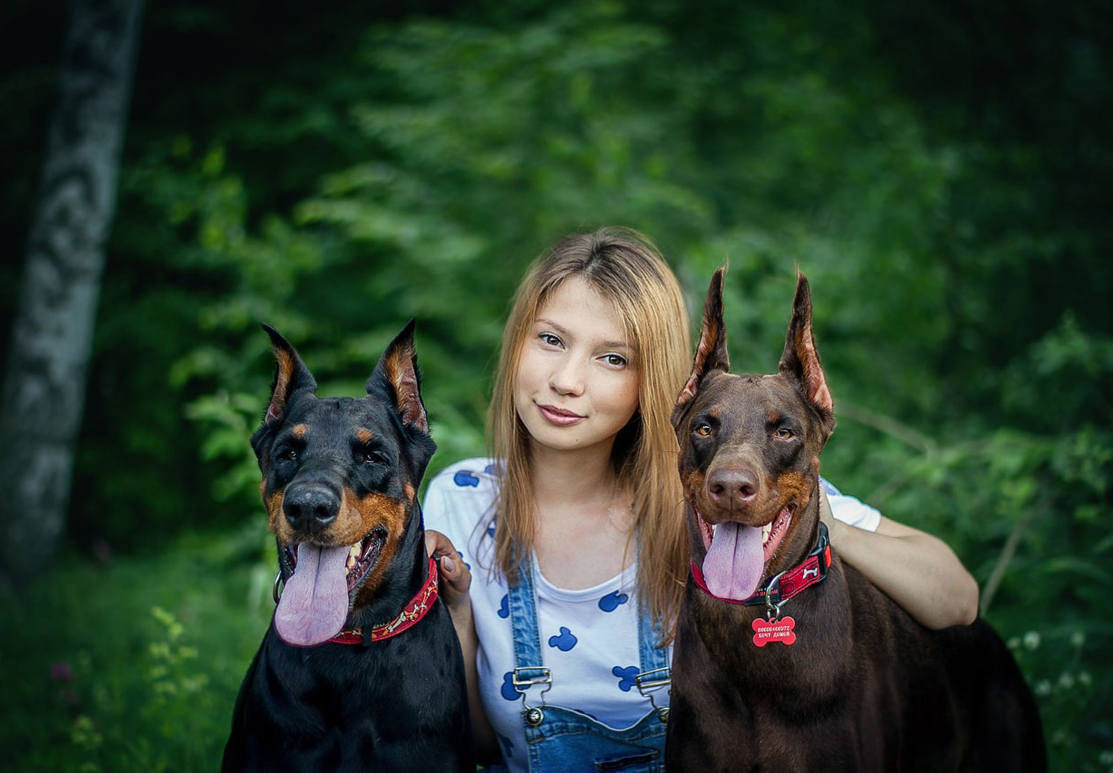Обо мне. Фотограф анималист в Казани Алина Сулейманова. Фотограф животных