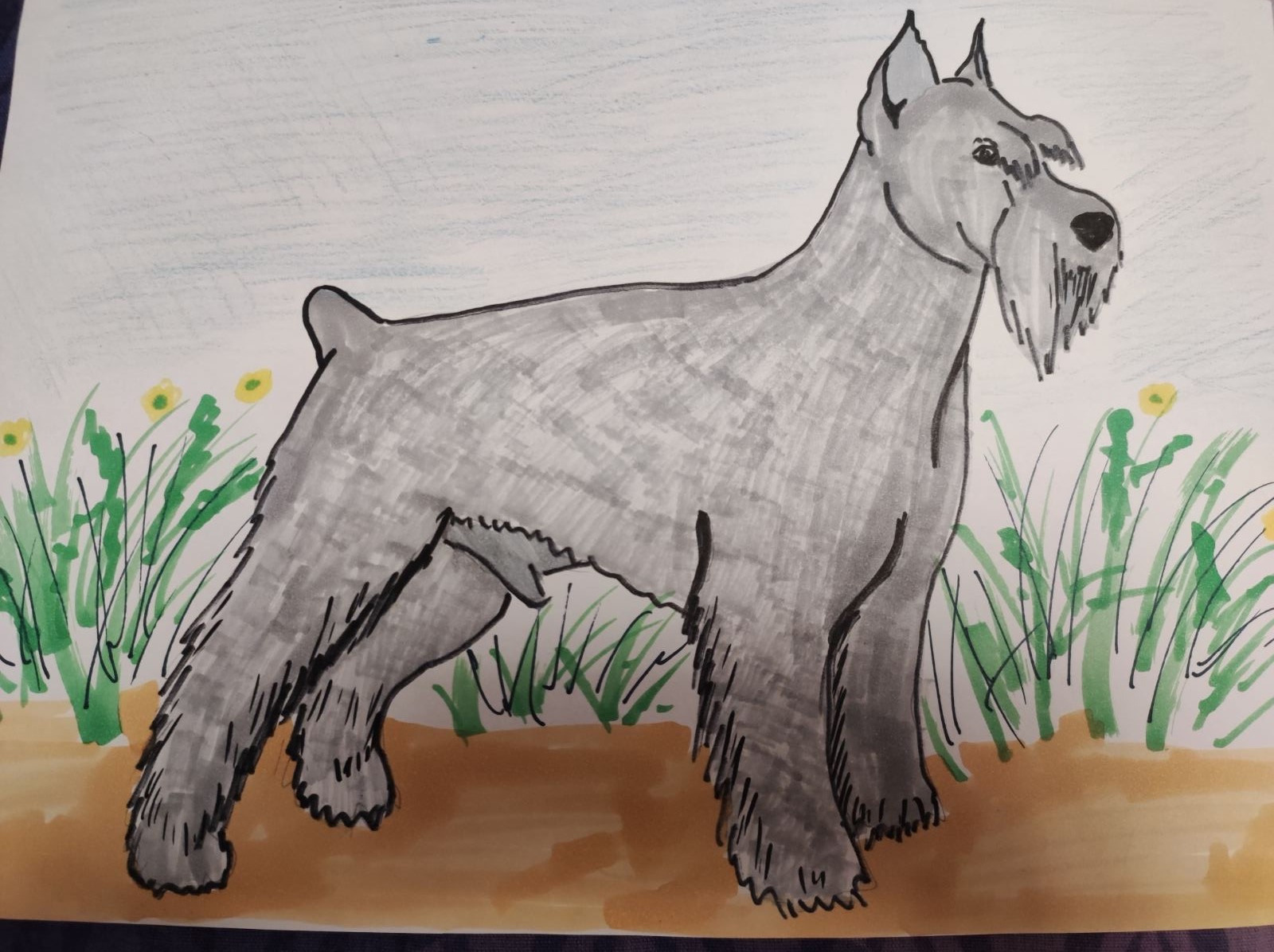 Конкурс рисунков🔥 «Четвероногий друг». НРОО КЦ "Собаковод"