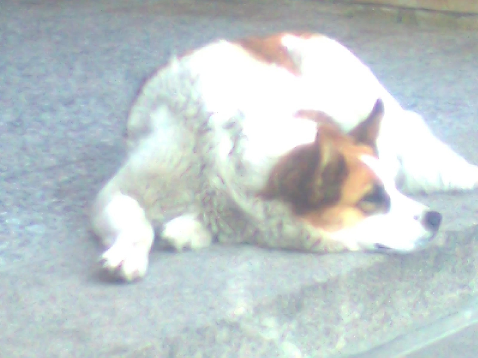 Художник. Фотограф