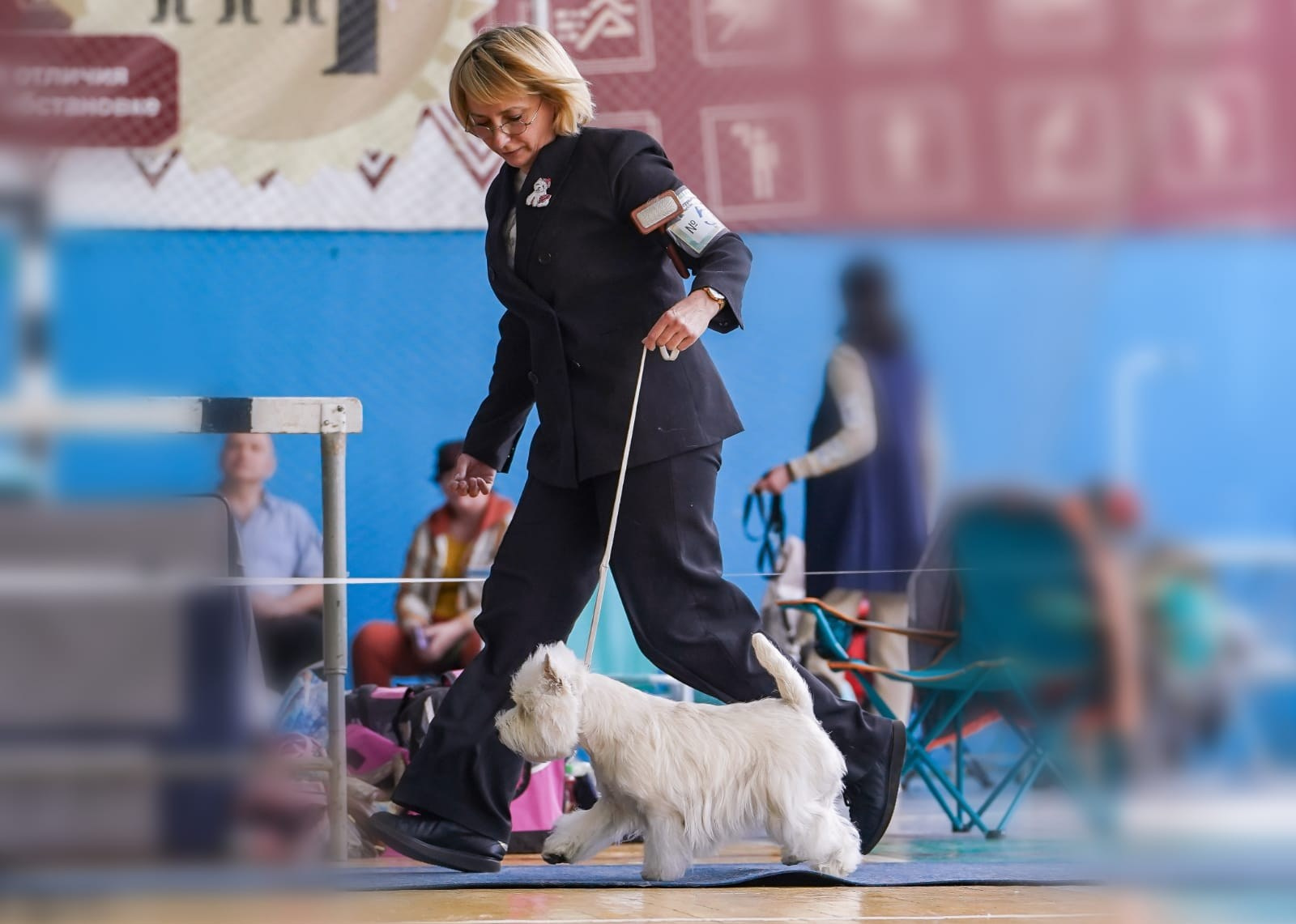 Липецк — Выставка собак 3 группы FCI + speciality. Питомник собак породы вест хайленд вайт терьер в Москве