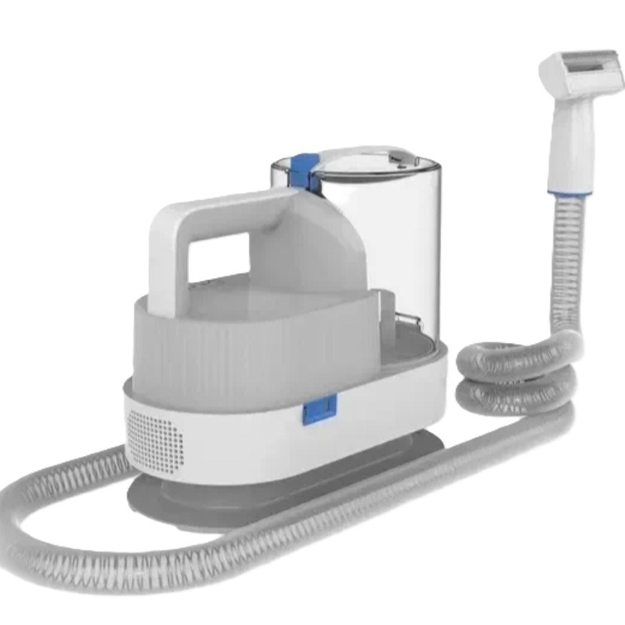 Котёнок американской бурмы. Las Burmas — питомник американской бурмы традиционных линий