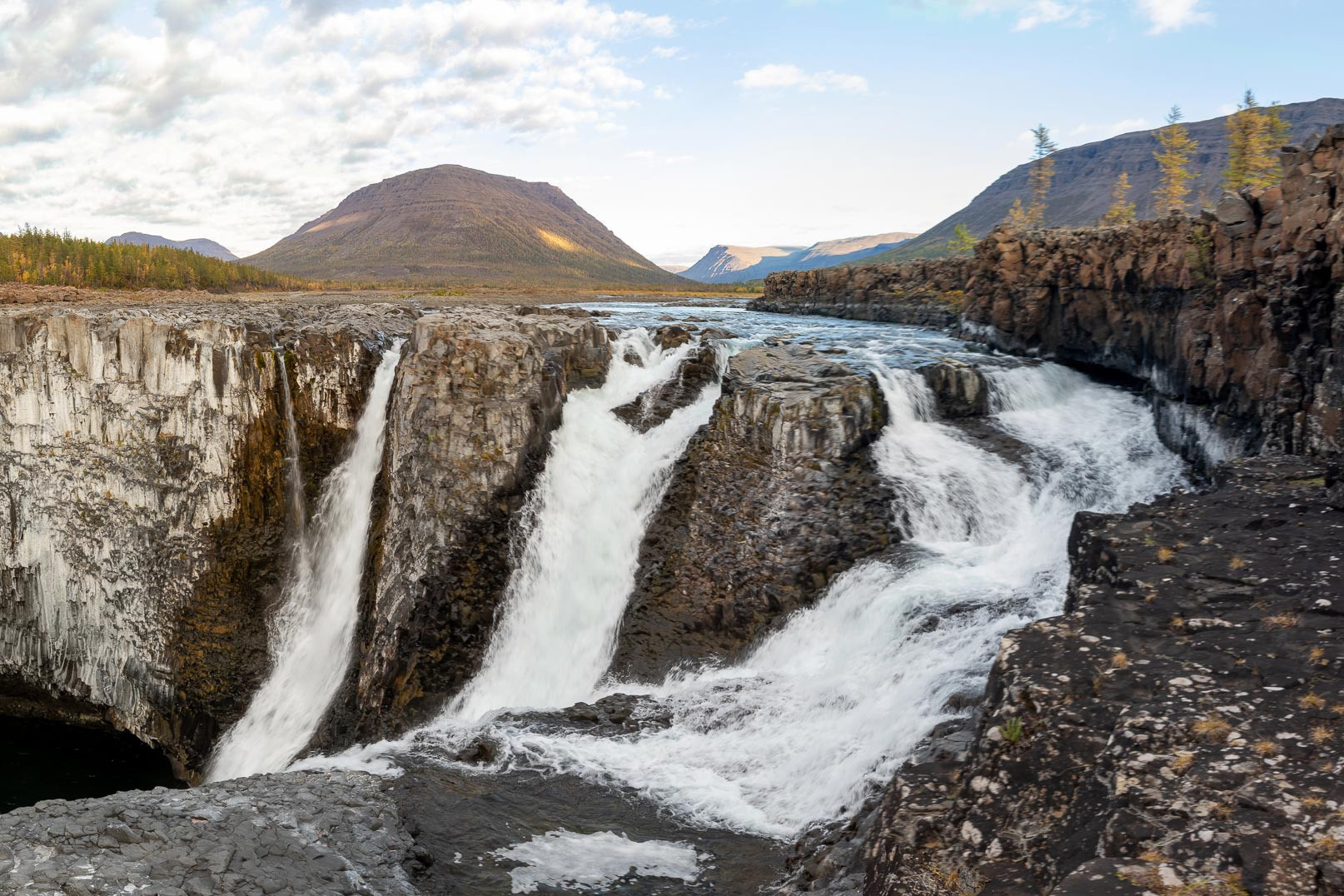 фототуры, фототур, экспедиция, животные, приключение, путешествие, поездка, животные арктики, Арктика, песец, туры по России, фототуры по России, Arctic, Arctic fox, дикая природа, Таймыр, Путорана, Анабар, морж, белый медведь, овцебык, водопады