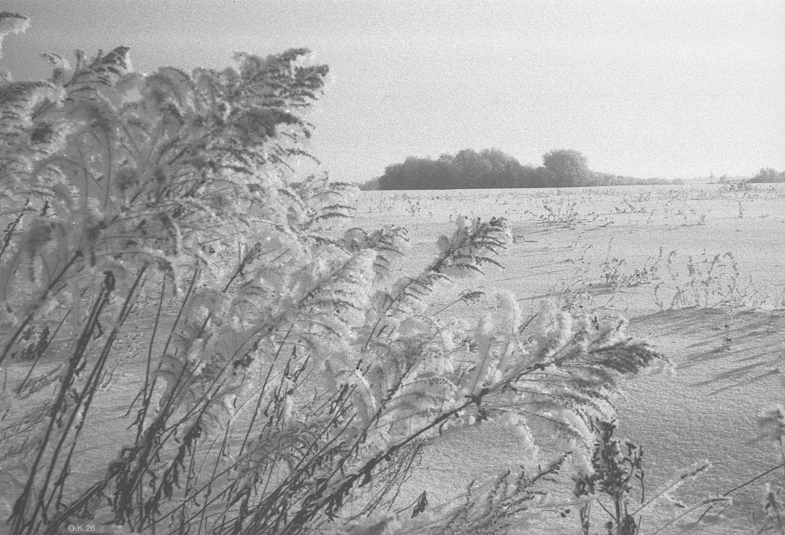 Зима муми-троллей. Artkapella|Олег Кузнецов