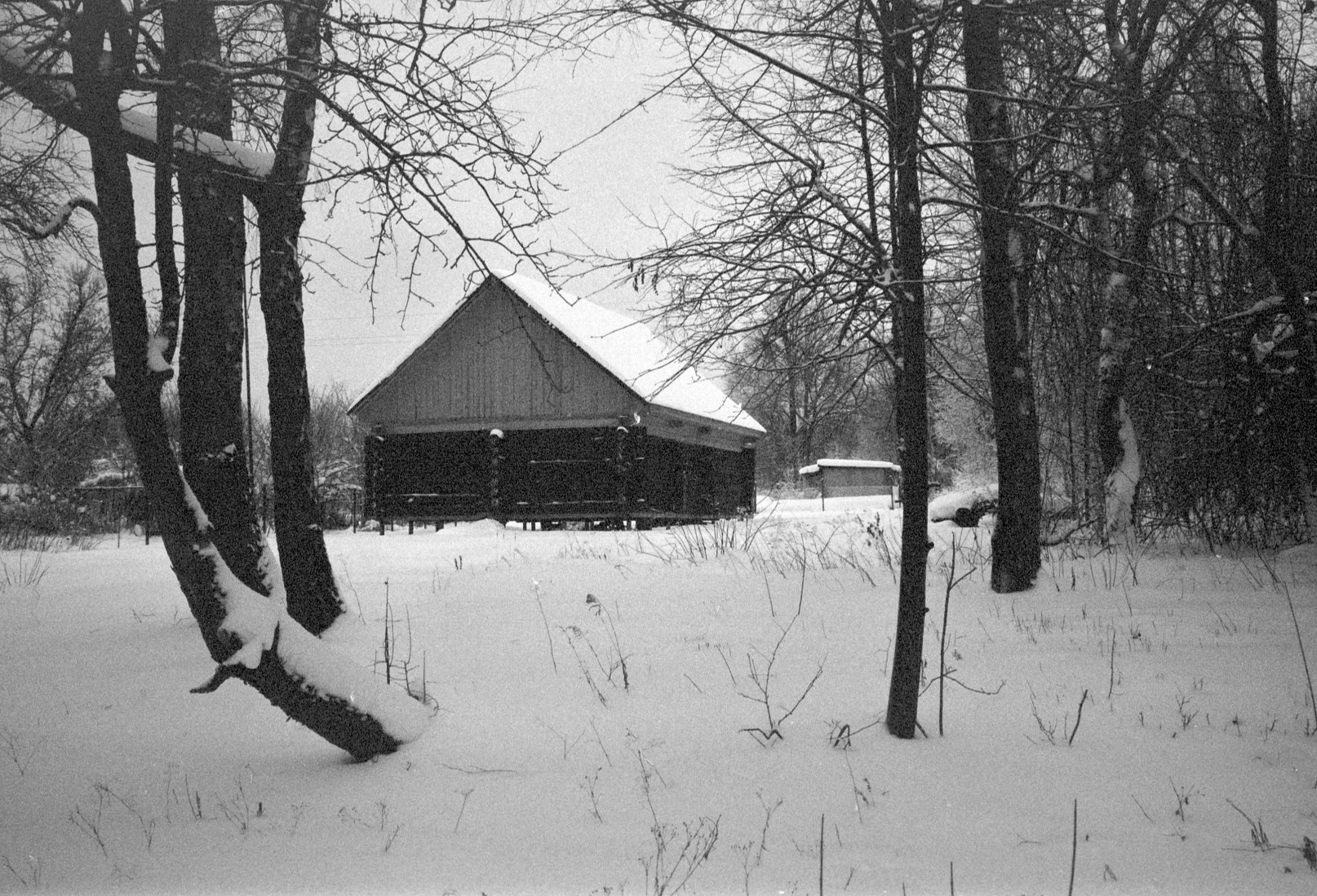 Зима муми-троллей. Artkapella|Олег Кузнецов