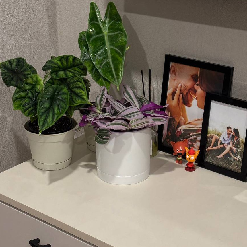 Свадебные фотограф и видеограф Алина и Евгений Кумановские | О нас. Свадебные фотограф и видеограф в Краснодаре | Алина и Евгений Кумановские