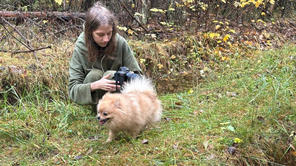 Контакты. Фотограф — анималист RISHELL PHOTO